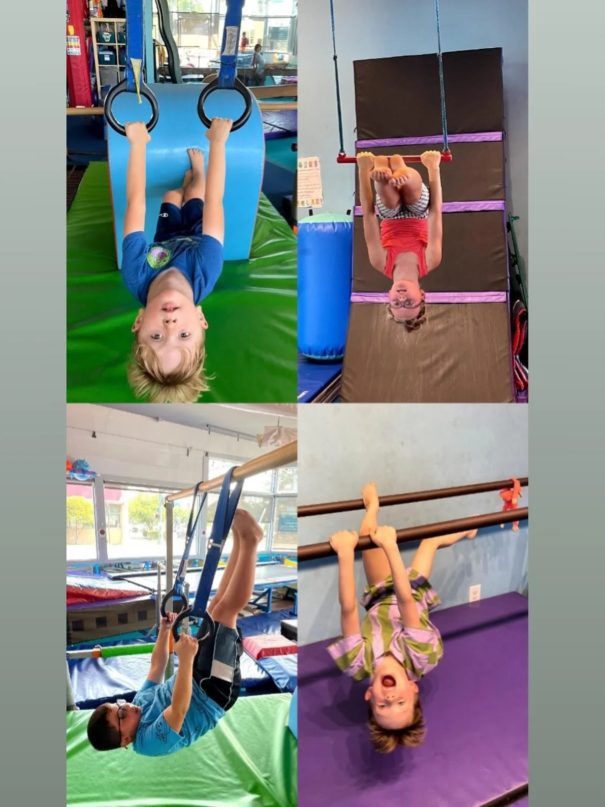 Gaining a new perspective at The Jungle Gym.