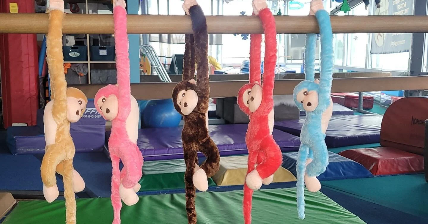 Give the gift of active play! Become a new annual member at The Jungle Gym and receive a Free open gym time as well as one of these adorable monkeys. $30 ￼
Valid offer through December 25th.