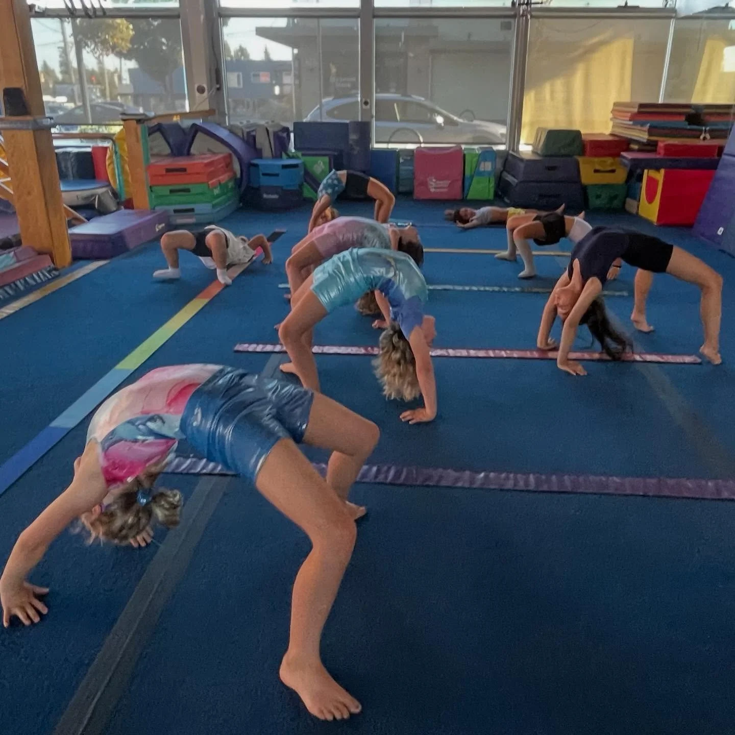 We love bridges!!! 😊🥇 at @thejunglegymburien