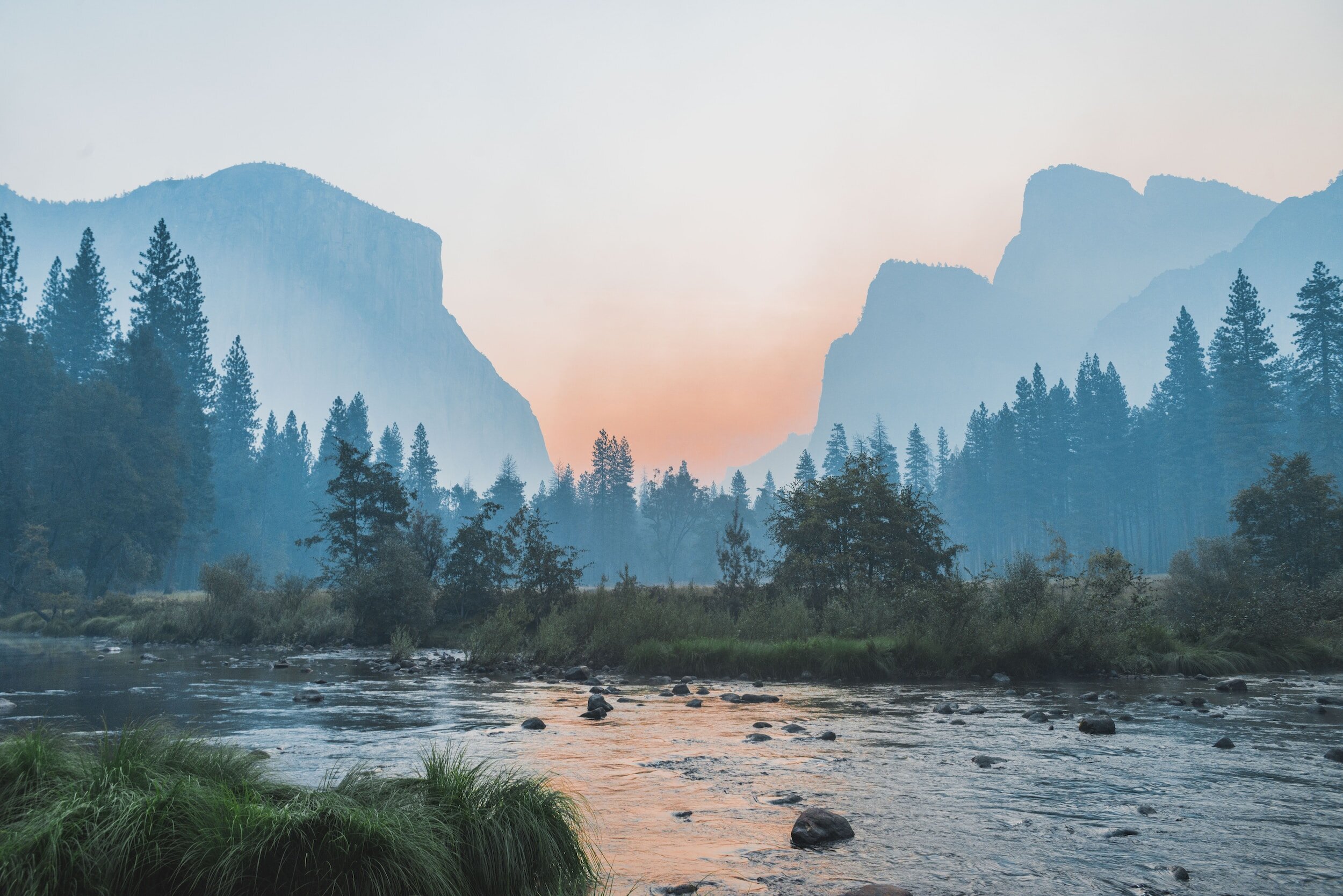 Environmental Services