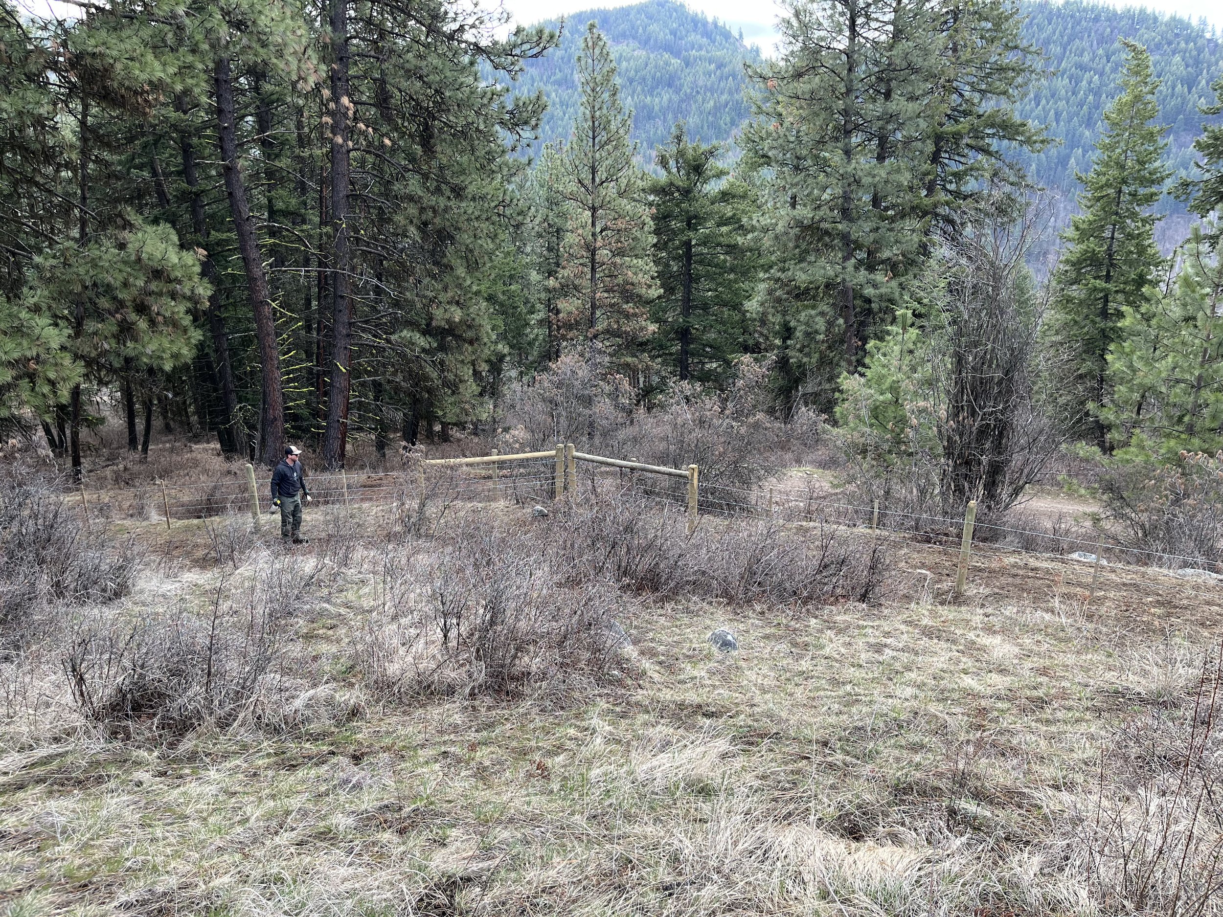Fencing Services