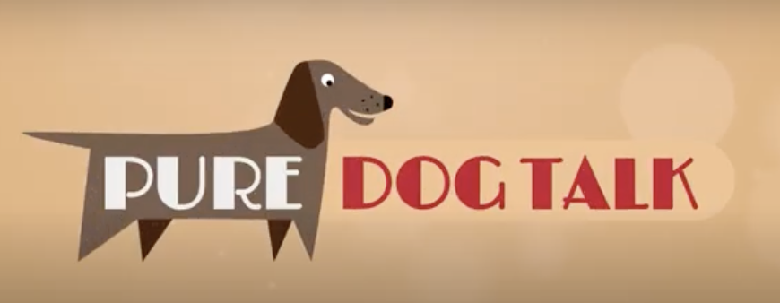 Video: Pure Dog Talk