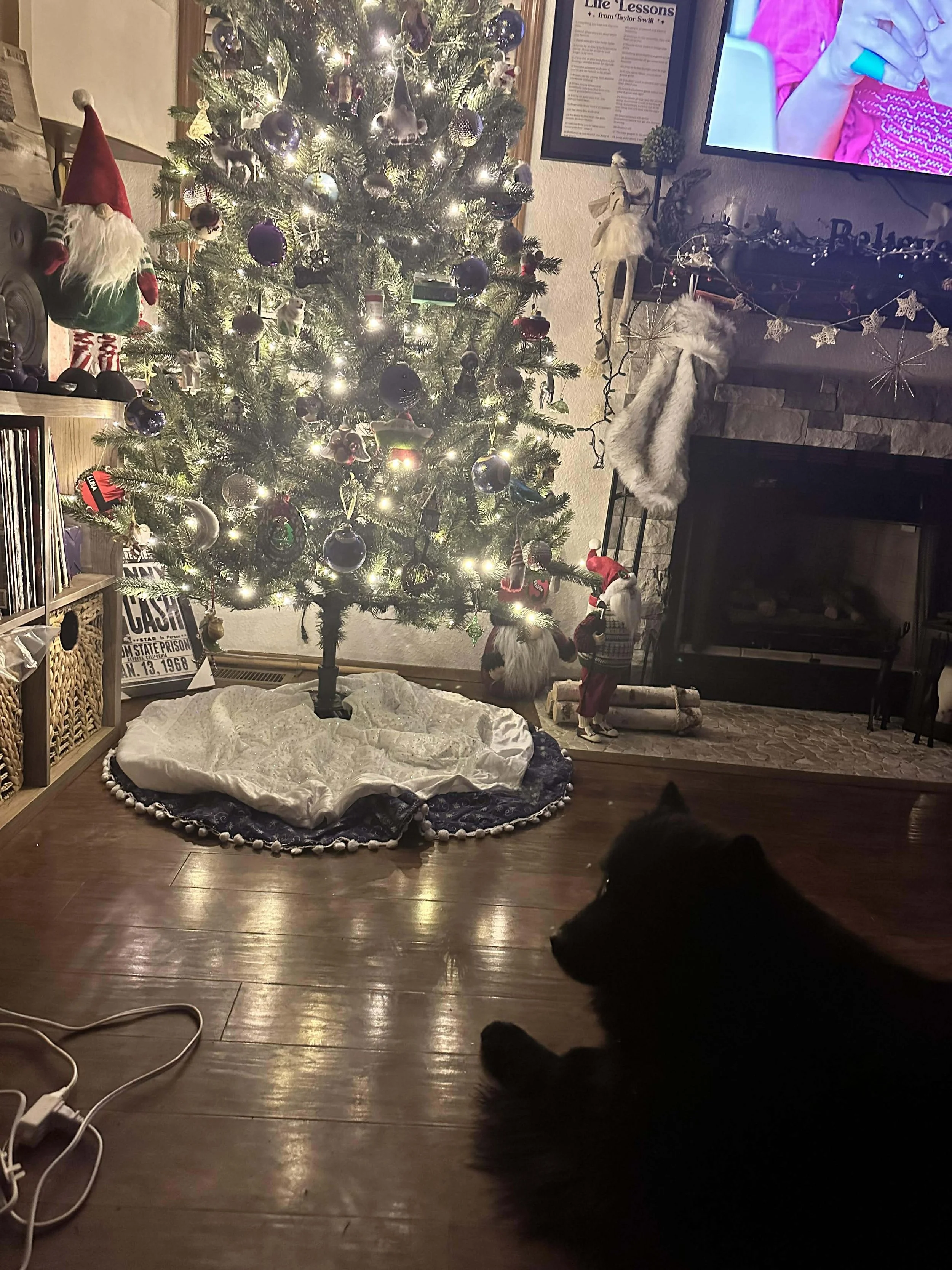 Claryhills Biera Moonshadow (Shadow) by Jeneva Cotton