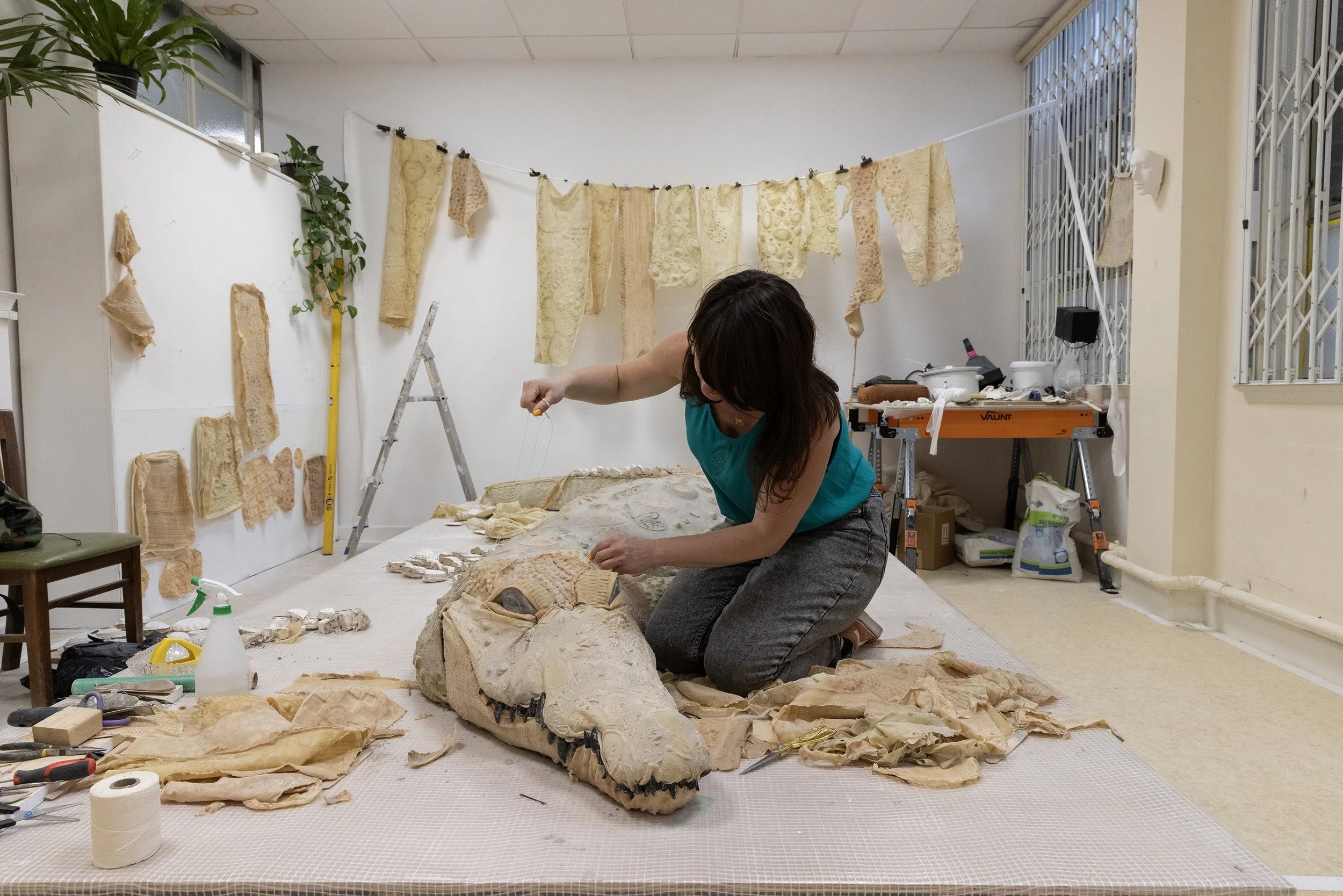Client Story: The Making Of The Bristol Crocodile - Video project