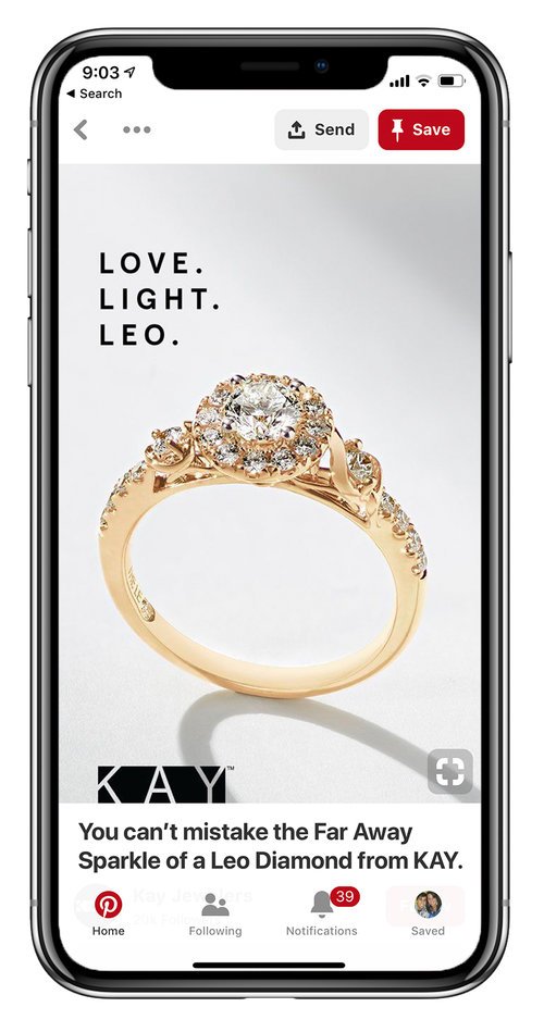 Leo_pin.jpeg