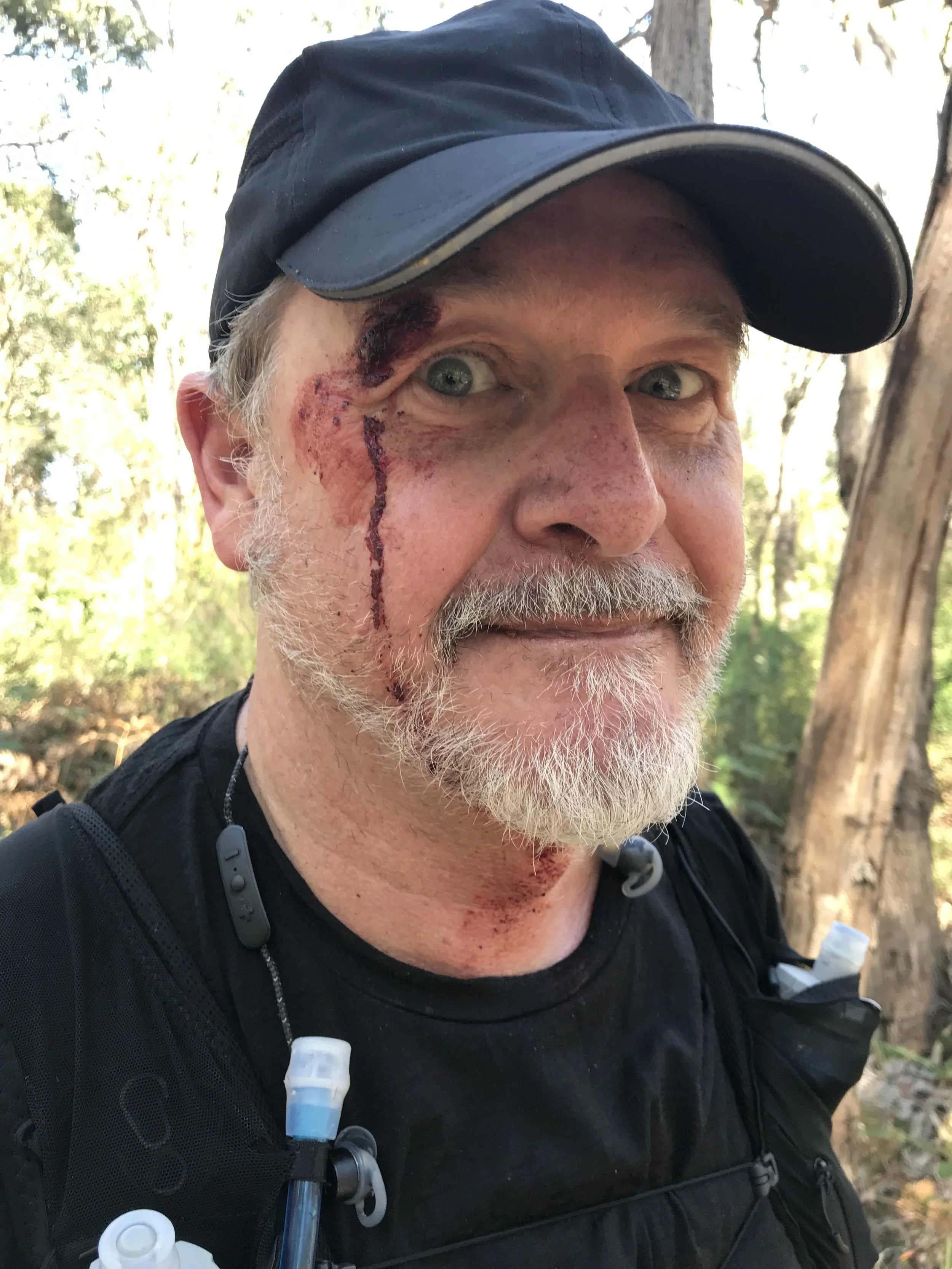 The Wisdom of Wombats: Thoughts While Walking