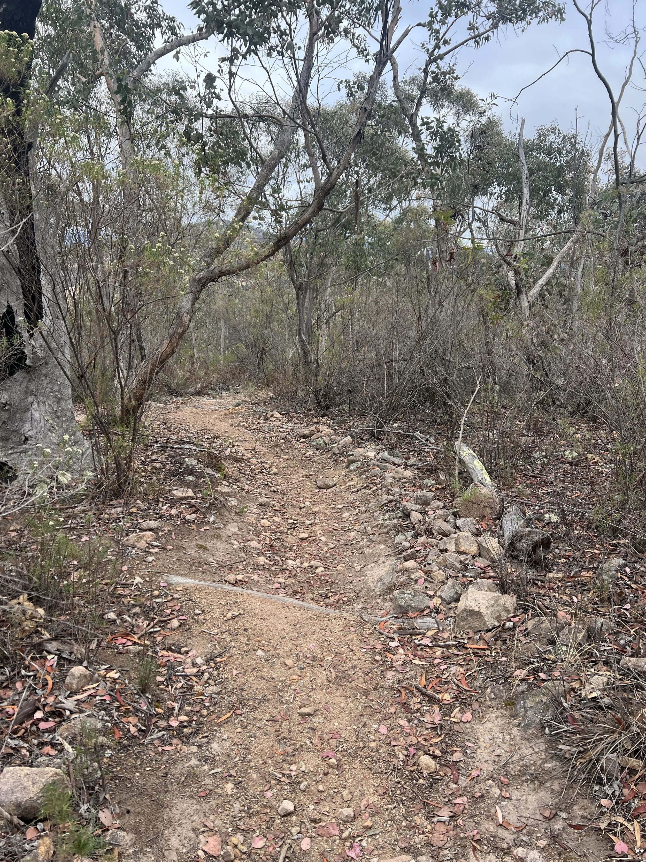 When we walk, we create meaning along the way