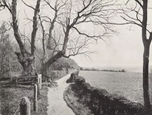 The art of looking up