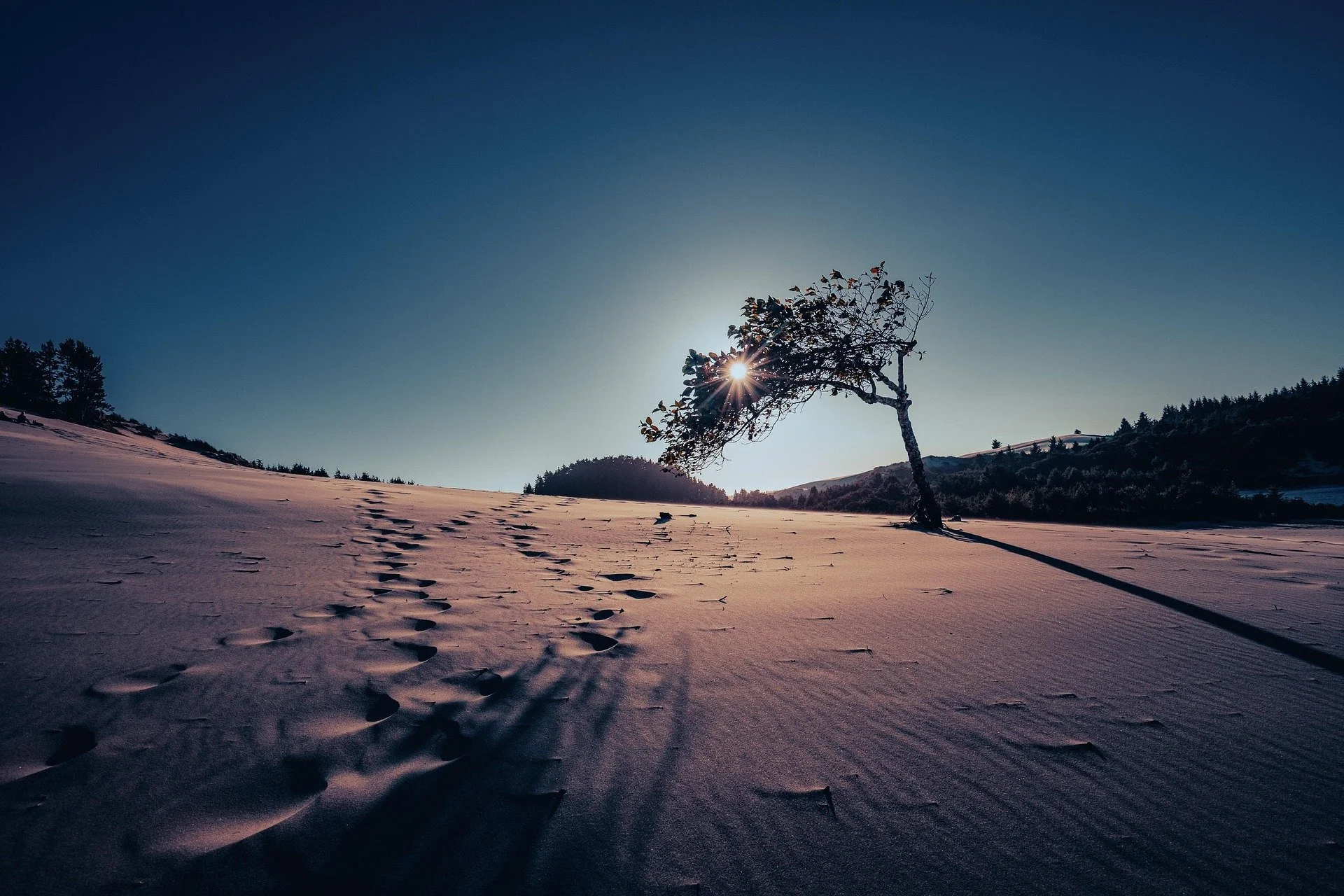 Our history and future in footsteps