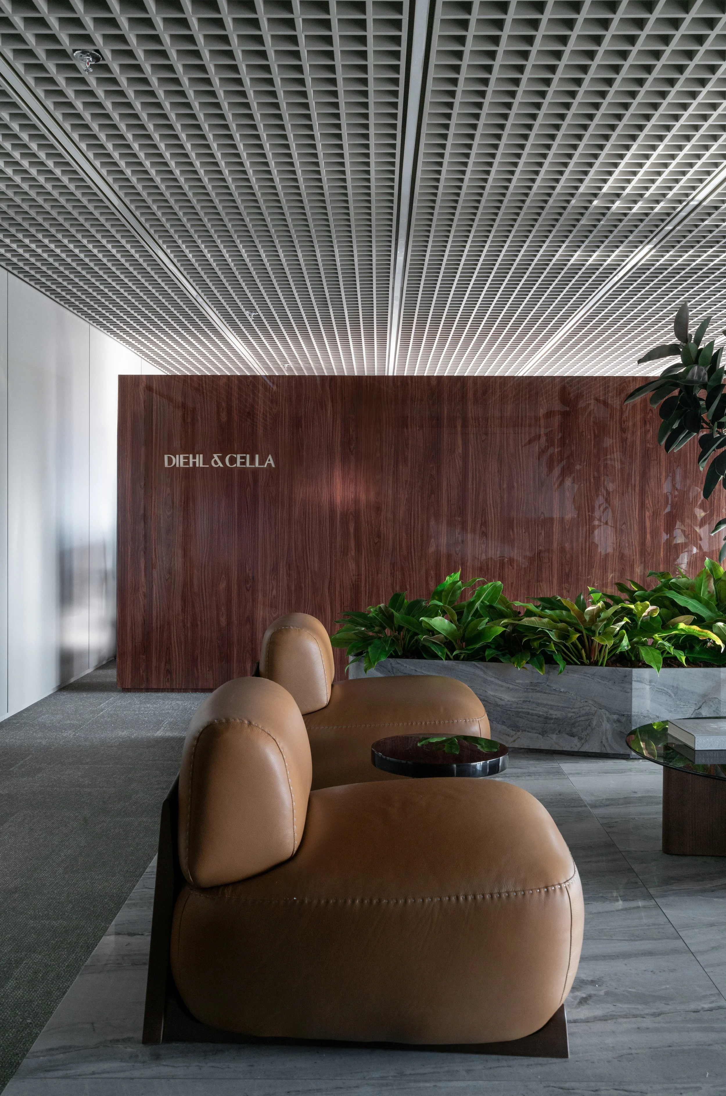 _LIDIAMACIEL_CELLA___DSC5639.jpg