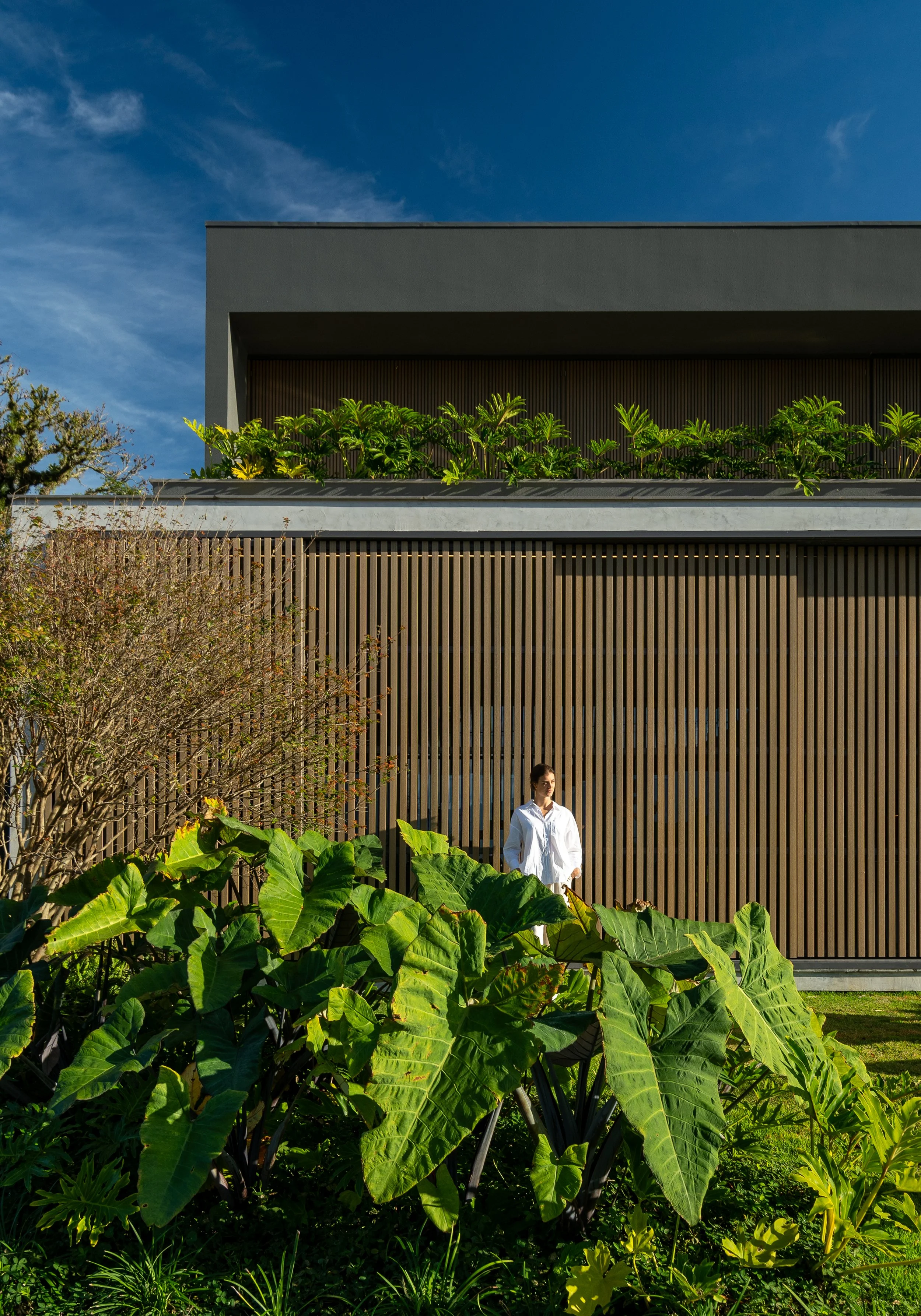 EXTERNAOSORIO EXTRA 04 Studio Bloco.jpg