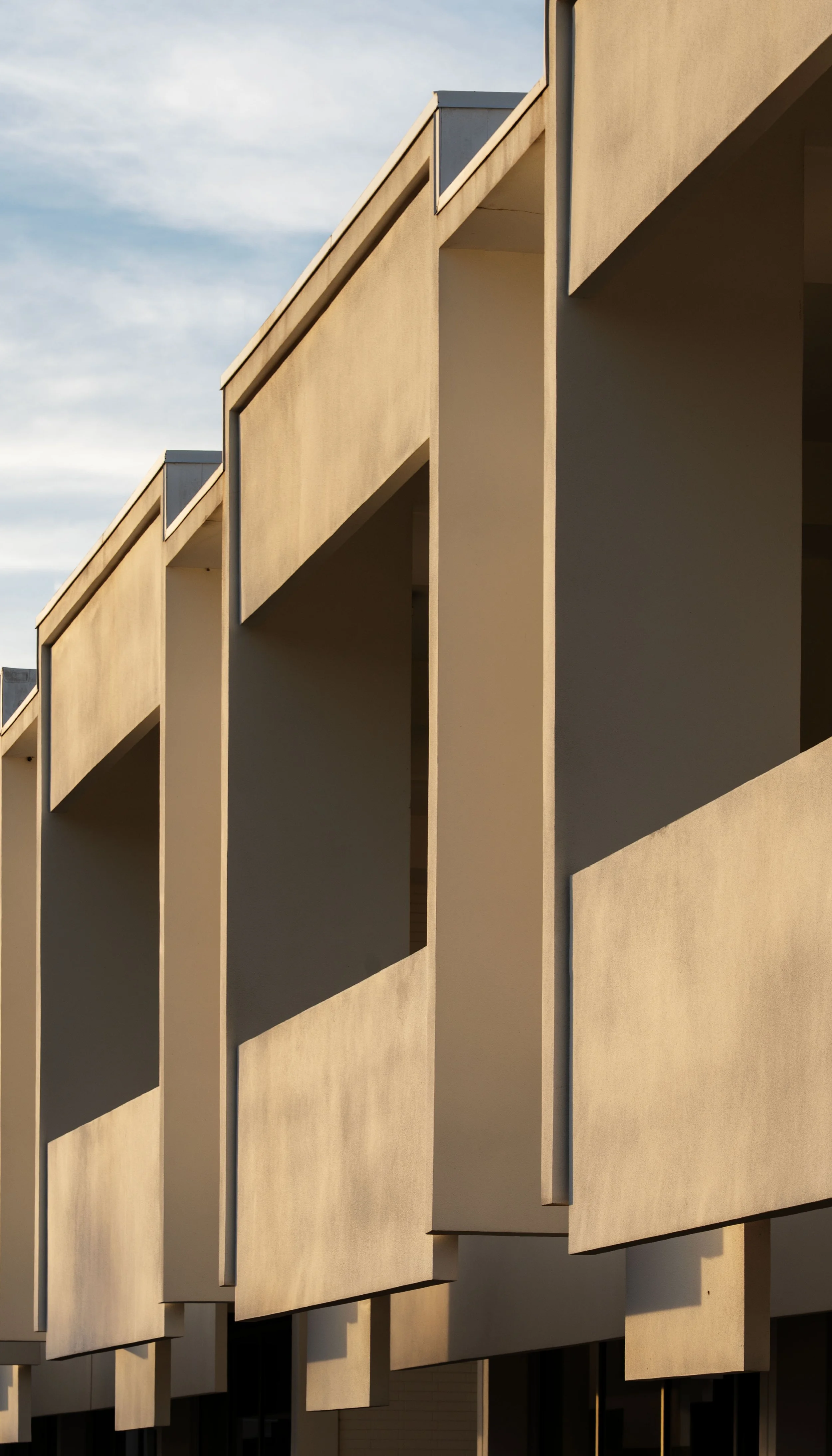 DSC00334 copiar2_1.jpg