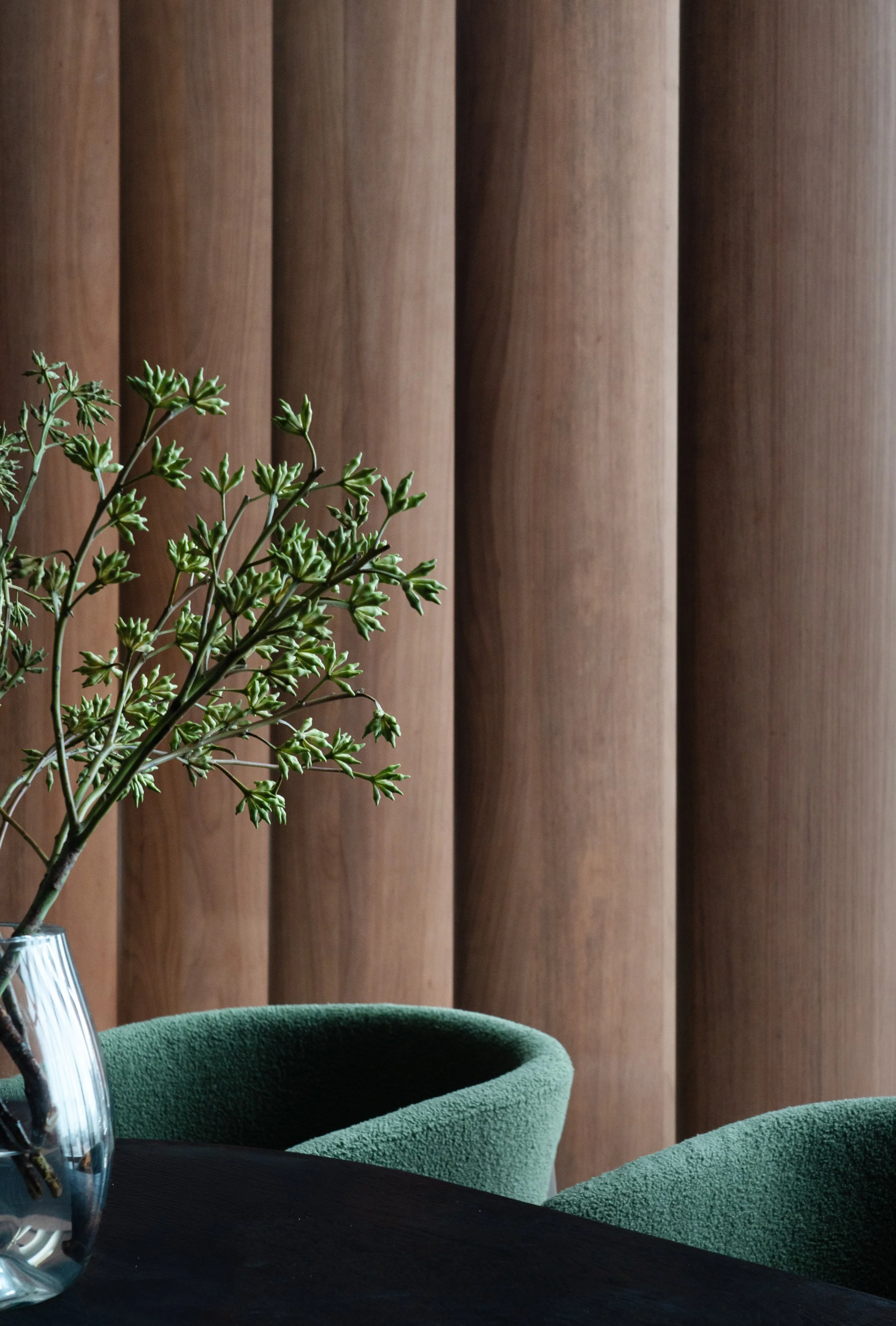 12-03-2025 ANIL - DufrioDSC09044.jpg