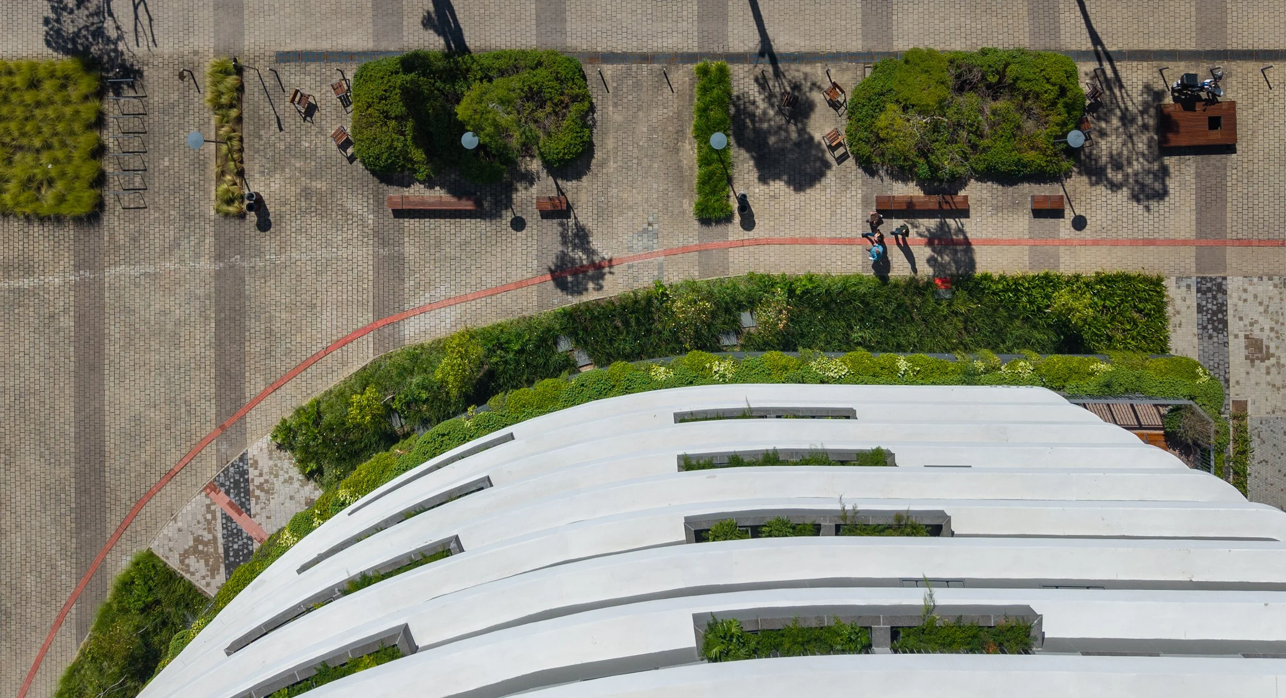 Orbe_PARQUE UNA PELOTASDJI_20260324102242_0269_D.jpg
