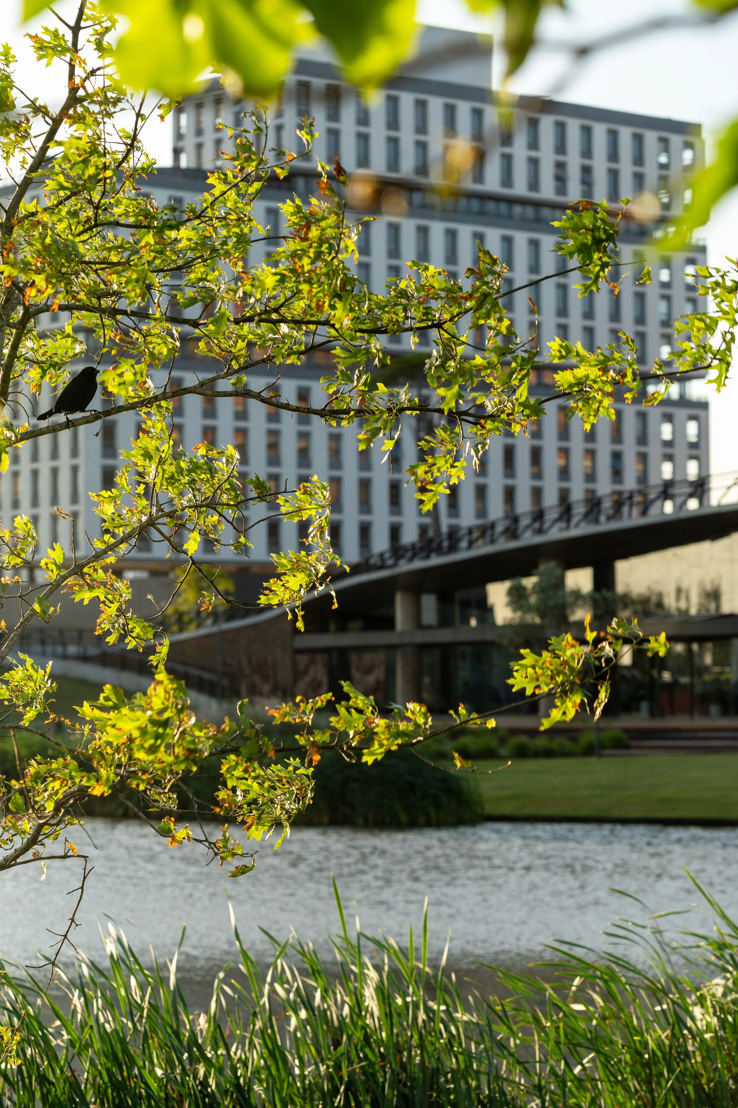 VANGUARDA vanguarda  06 copyvVANGUARDA - Parque Una_.jpg