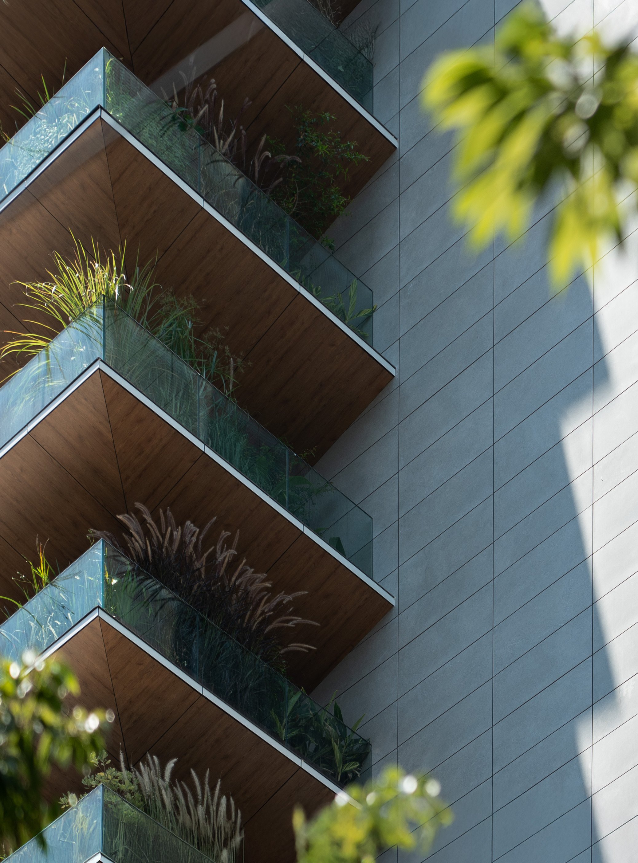 2025-03 PARREIRAS_ 04.jpg