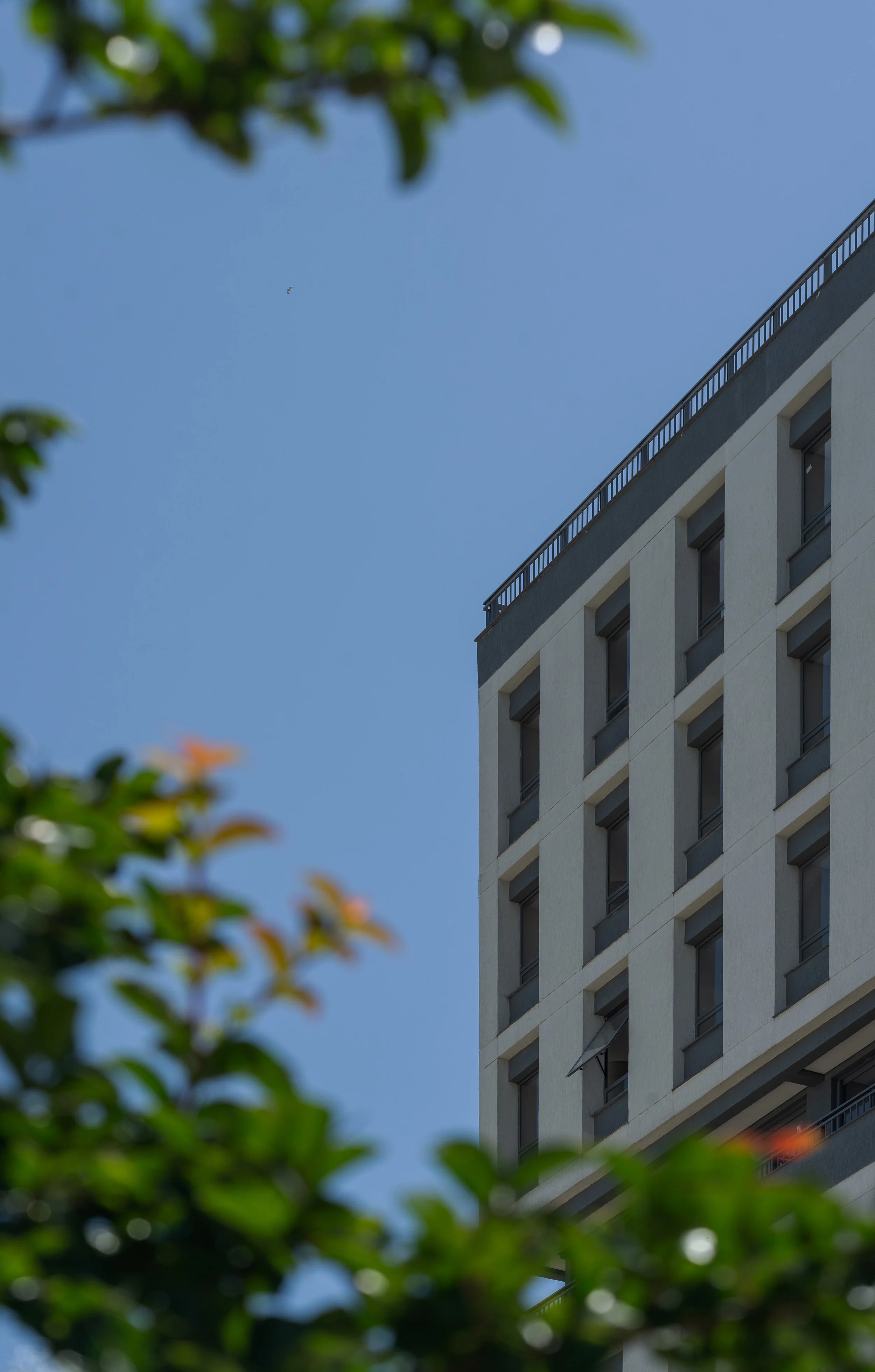 VANGUARDA vanguarda 03vVANGUARDA - Parque Una_.jpg