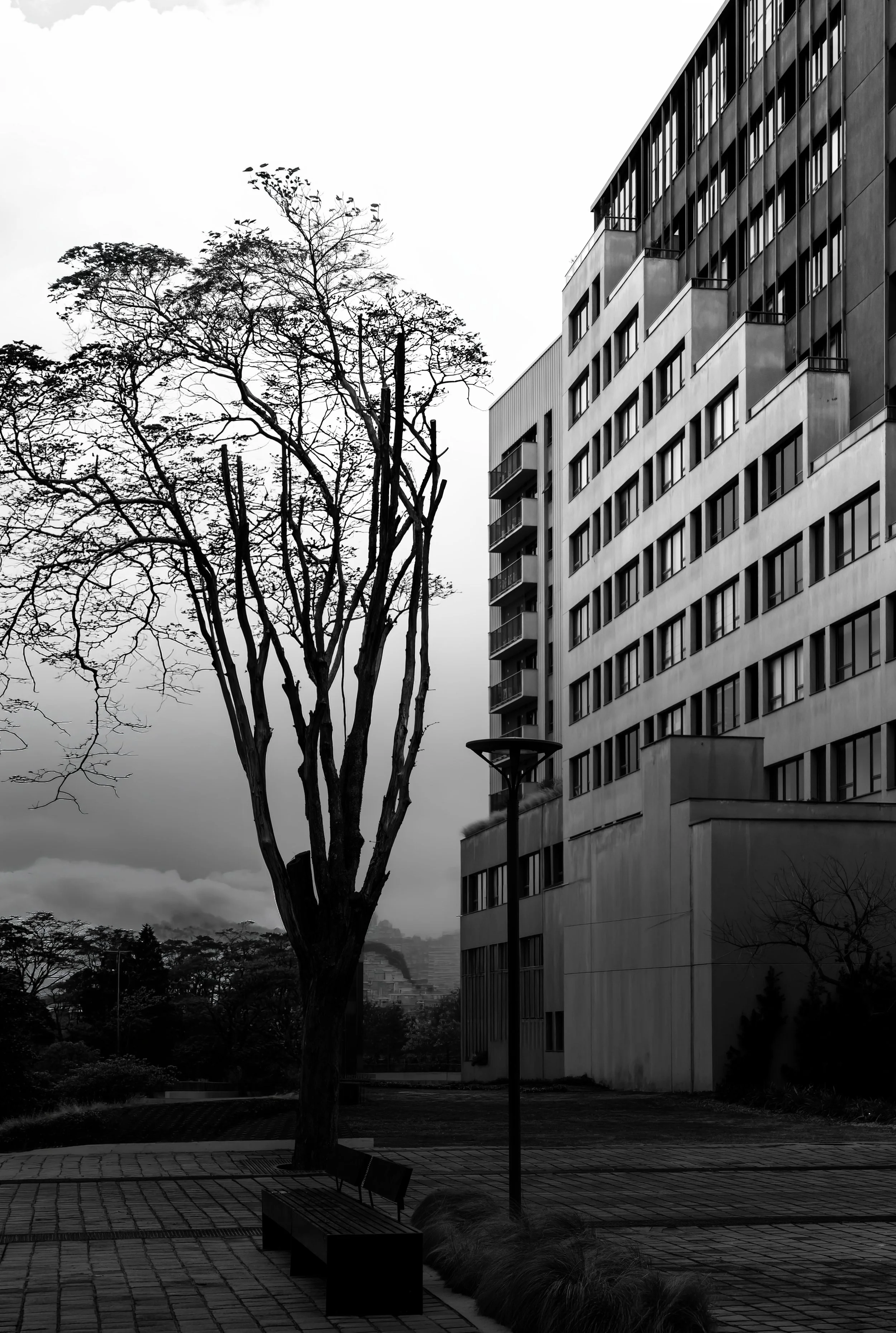 DSC00795 copiar.jpg