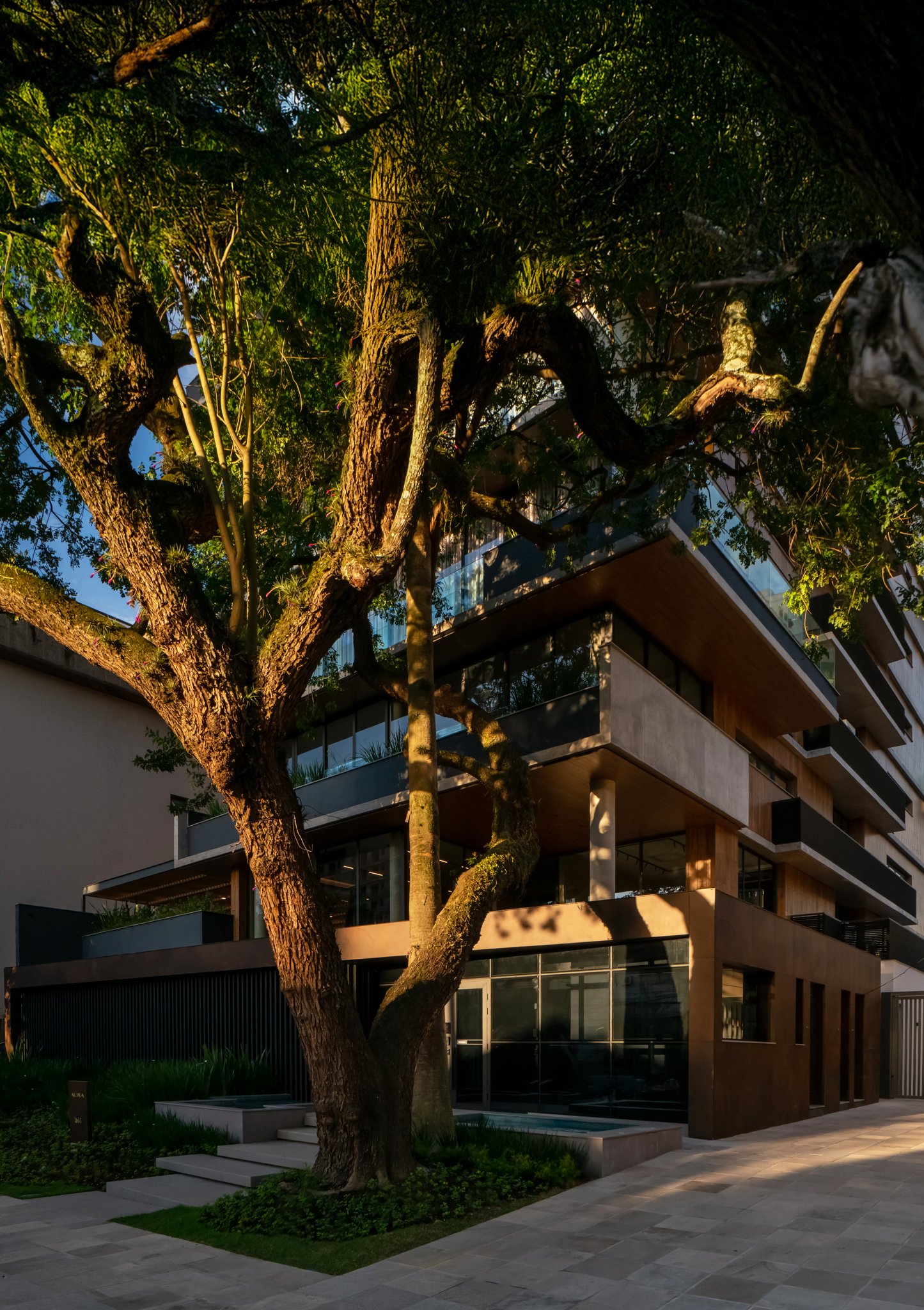  AGOSTO_AURA FRASS_DSC6970 copiar.jpg