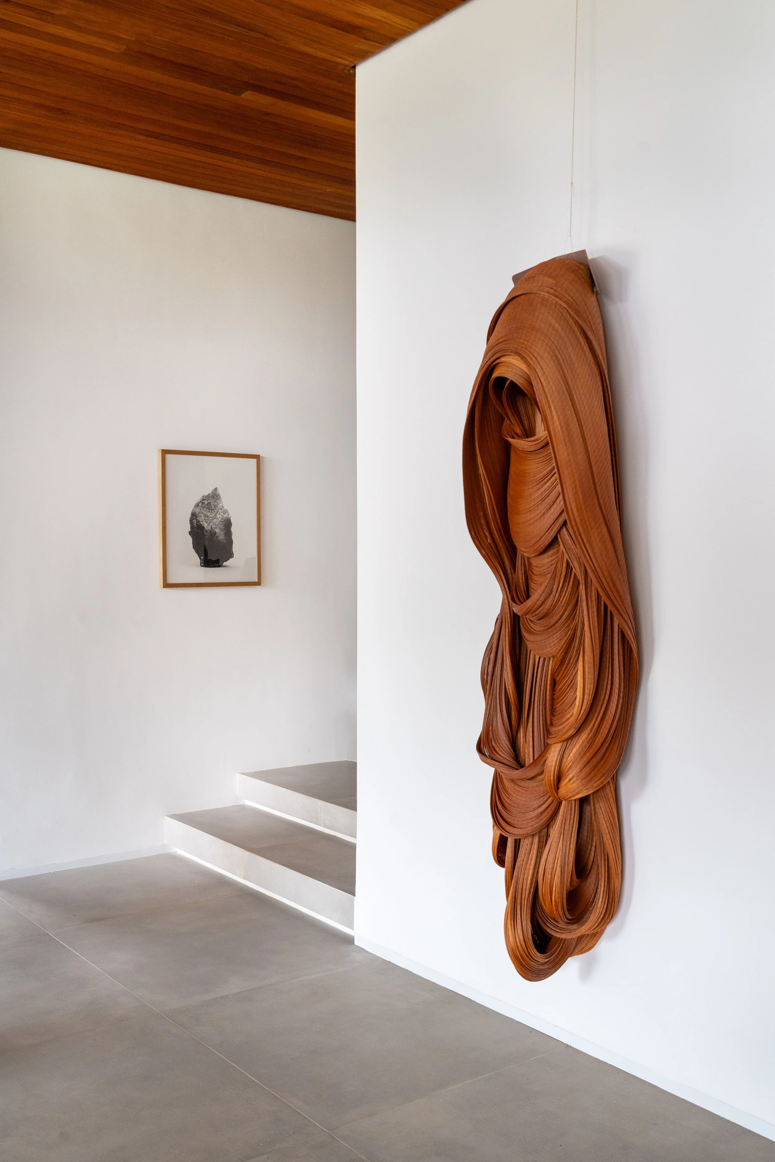  17Galeria 733 - Casa .jpg