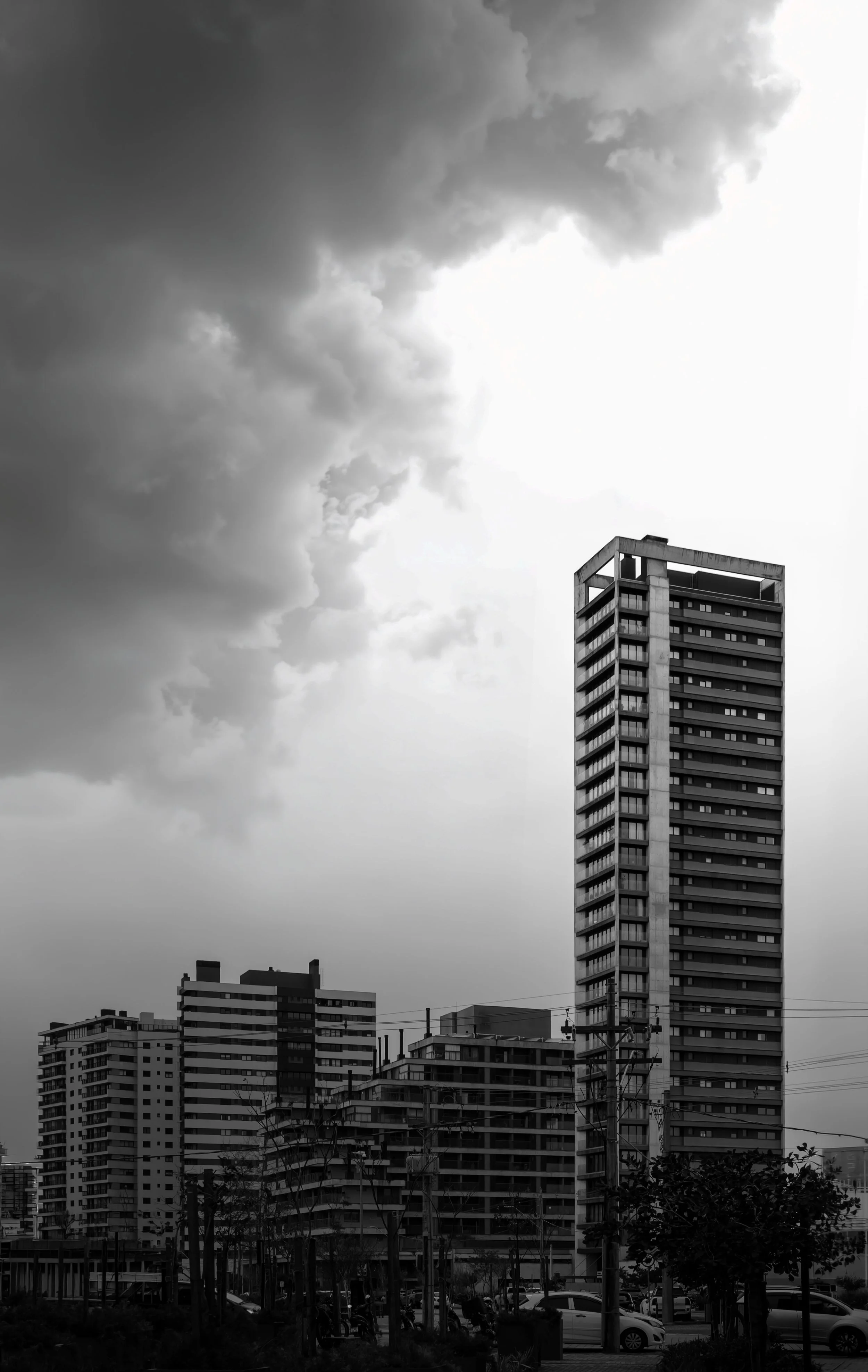DSC00779 copiar.jpg