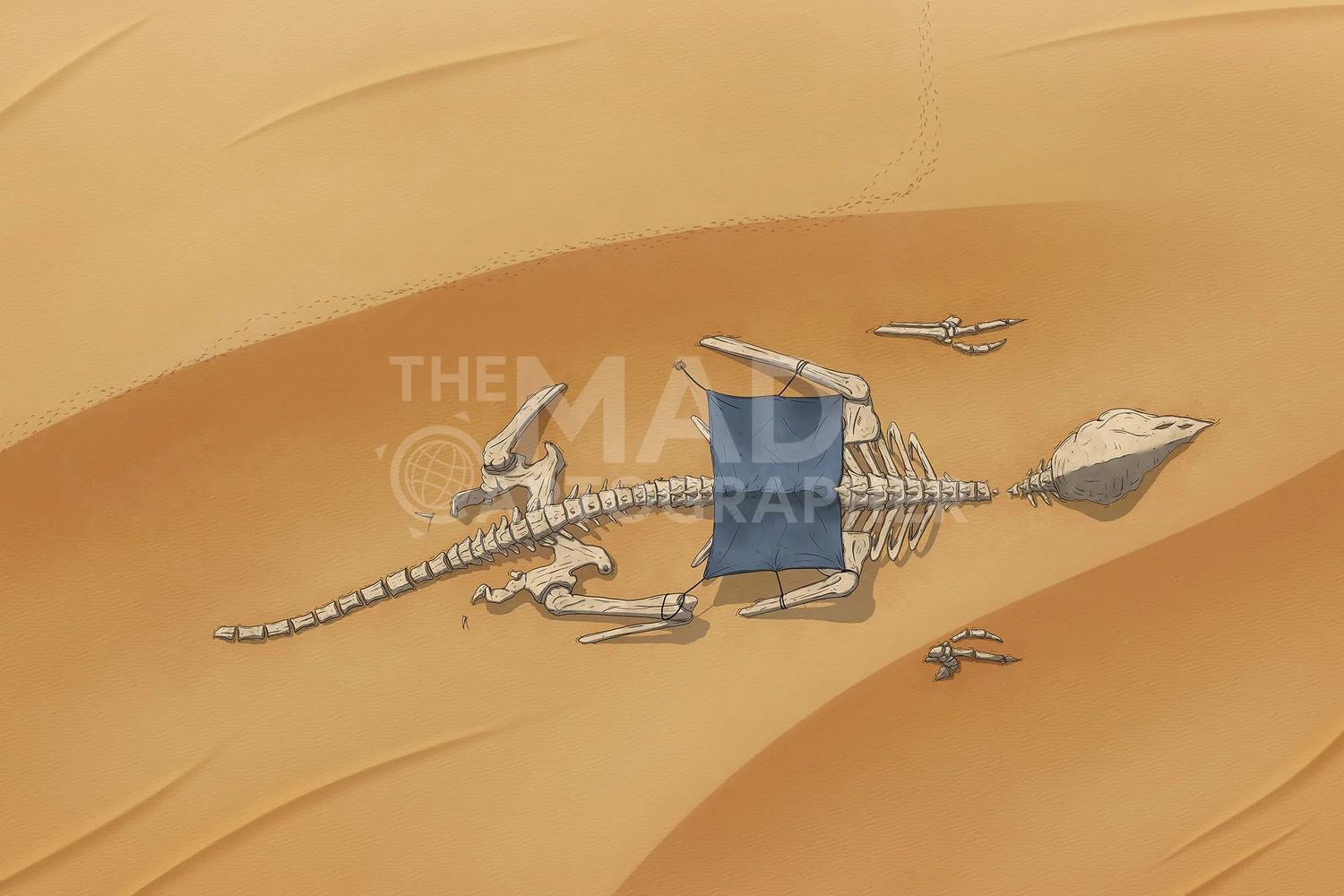 Desert Skeleton