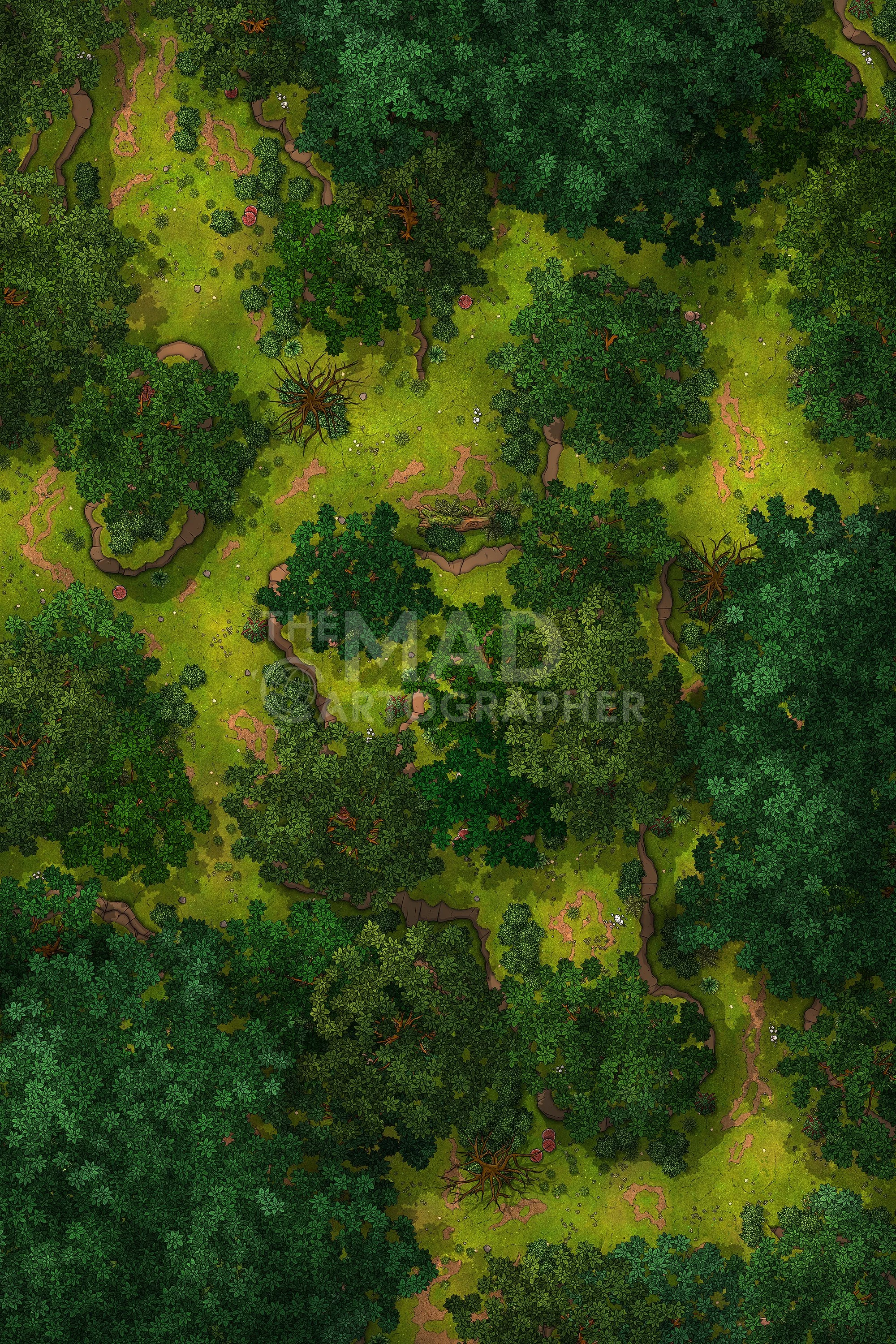 VIRIDIAN FOREST | 20x30 | A dense swathe of forest with meandering paths, where fledgling heroes often encounter each other. [🌓 Night & Day Variants] [🪑 Asset Variants]