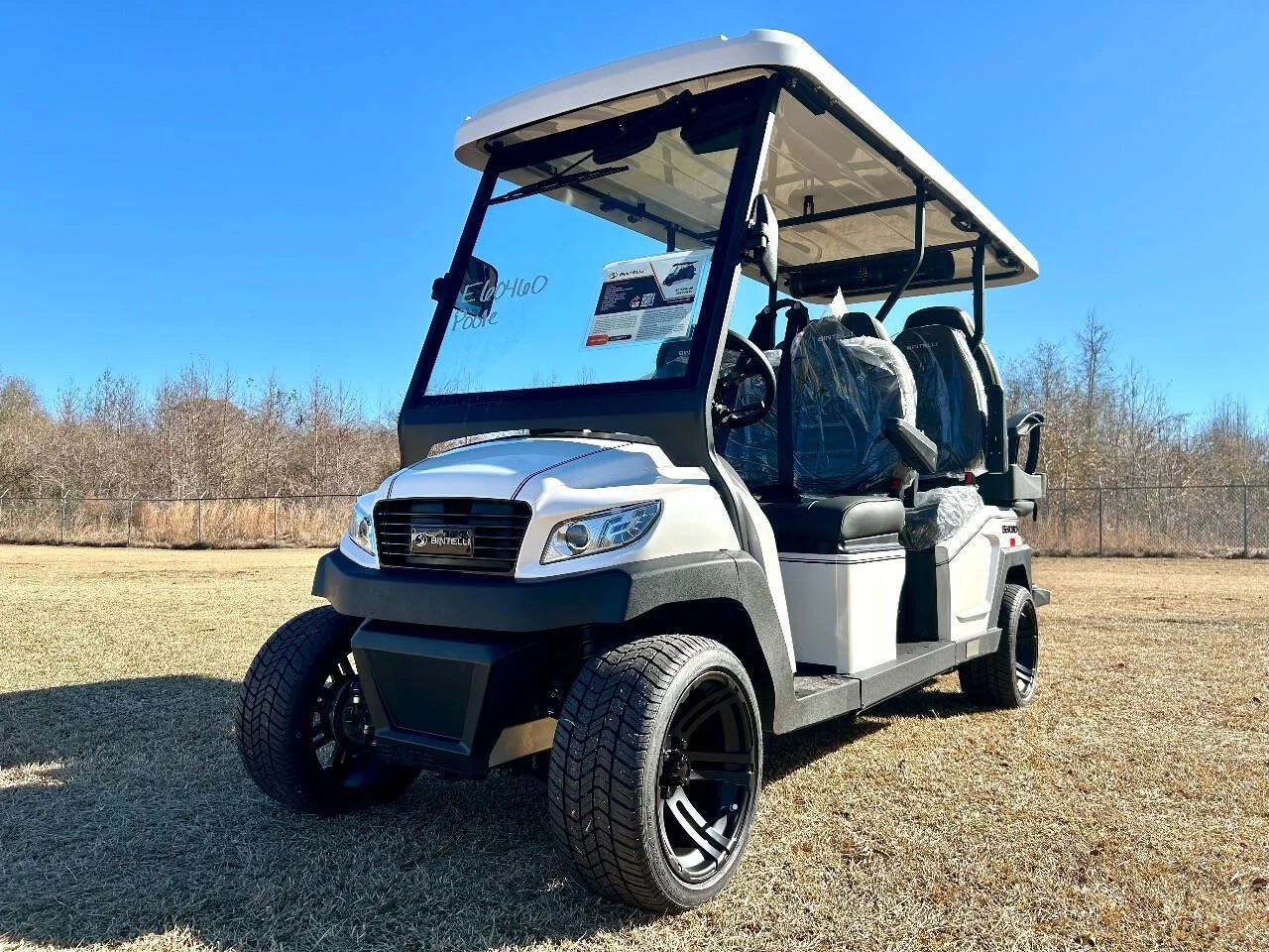 2026 BINTELLI BEYOND 6 LITHIUM LSV6P