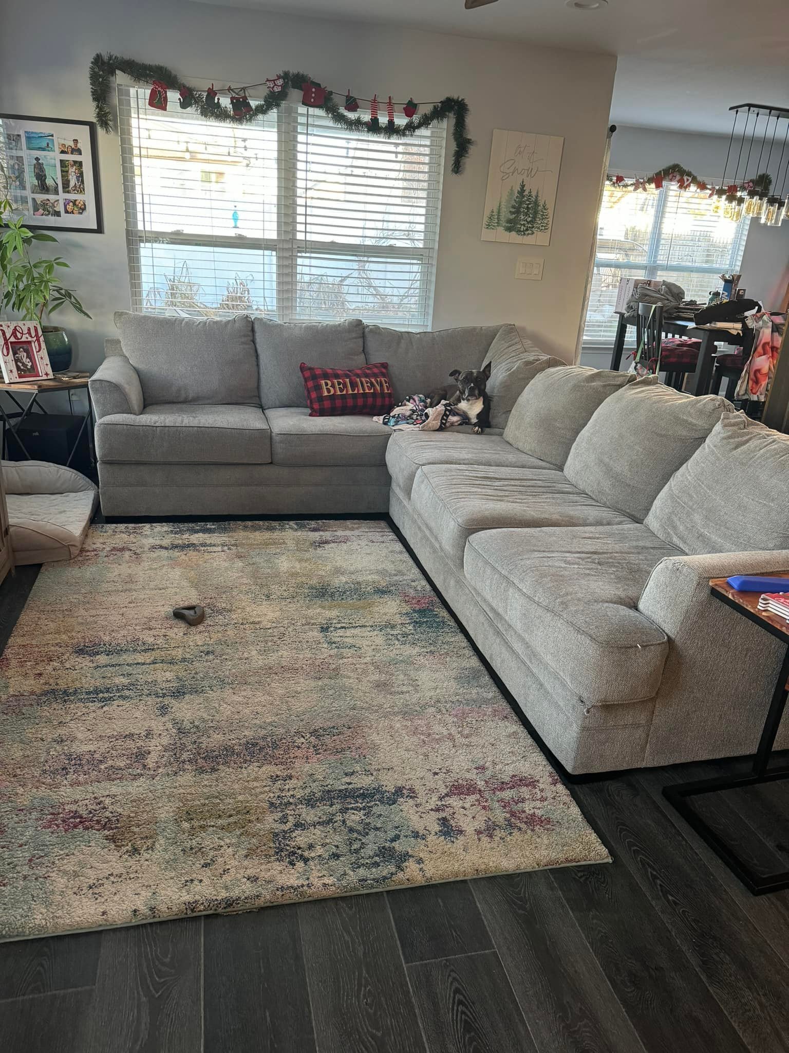 FREE!!! 
Yes we have dogs, and a teenager! These are by no means new but I think they are in great shape for anyone that needs a couch 🤷🏼&zwj;♀️ 
My husband disagrees lol 
Free couch and rug, both were professional cleaned about a month ago, they u