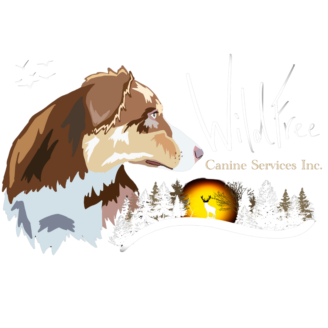 WildFree Canine Services Inc.