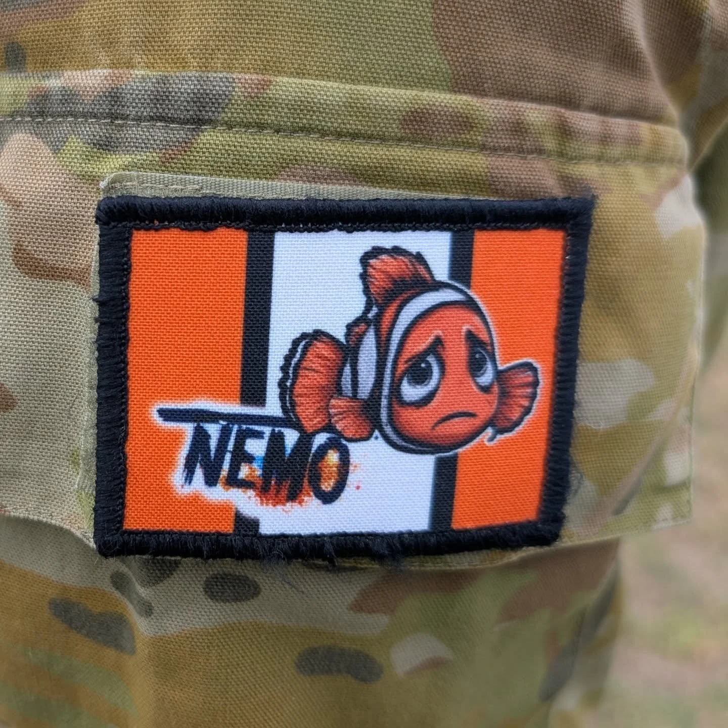 Spotted in the wild! Emo Nemo flying high!

#weaselinthewild #waaac #patchweasel