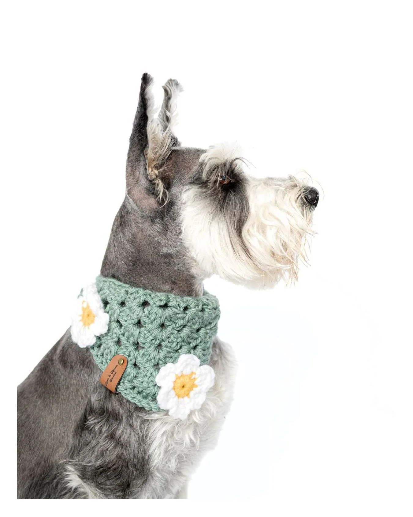 Happy first day of spring! 🌷

Spring minis are coming &mdash; April 11 + 12 in our Carmichael studio.

Pale blue paper on Saturday. Classic white on Sunday. Simple florals to set the scene.

Booking opens soon &mdash; follow along for details.

Feat