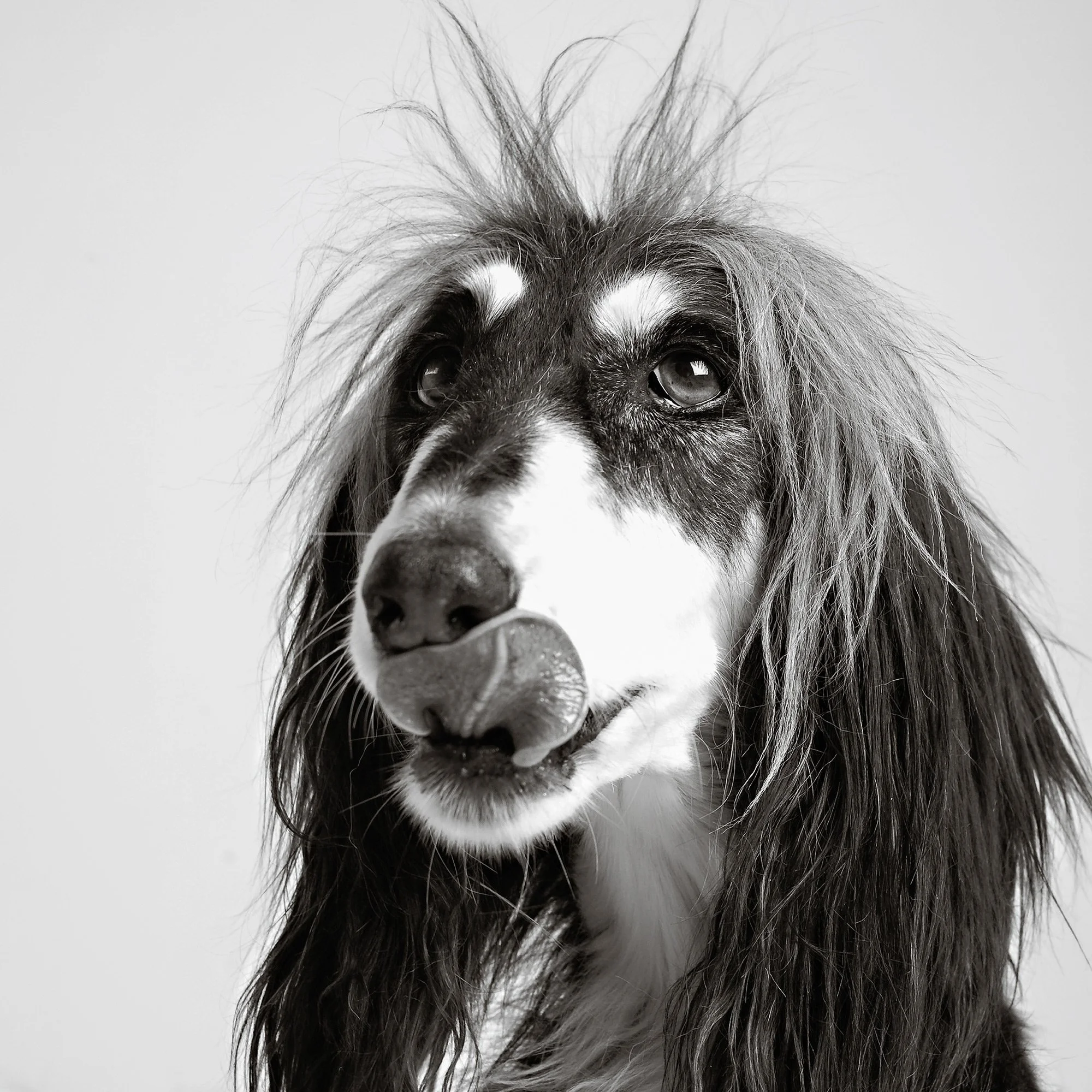 The Case for Monochrome