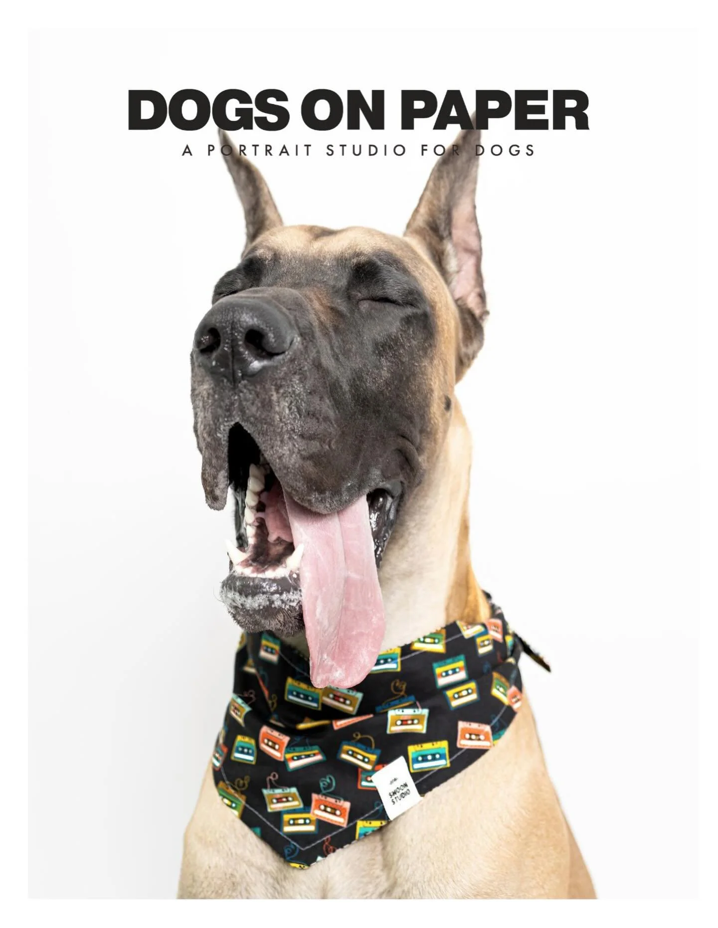 Friday vibes.

Mark your calendar &mdash; fall sessions open September 1st.

#fridayvibes #greatdanesofinstagram #dogsonpaper #dogphotography #dogportraits