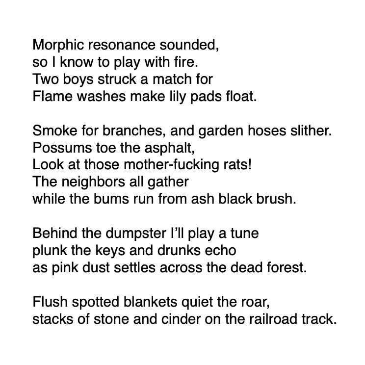 Morphic Resonance.jpg