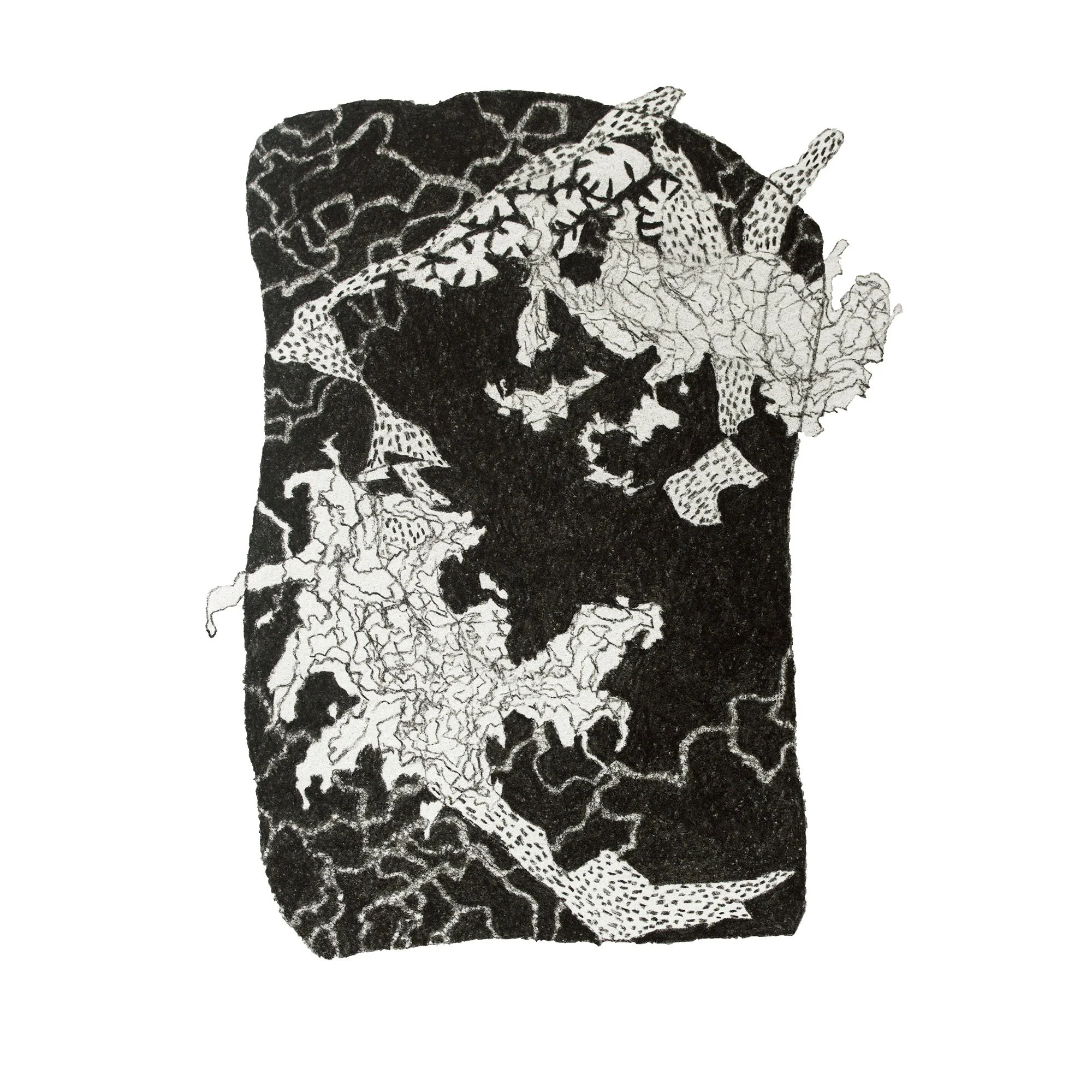 Jungle Sketch 2 copy.jpg