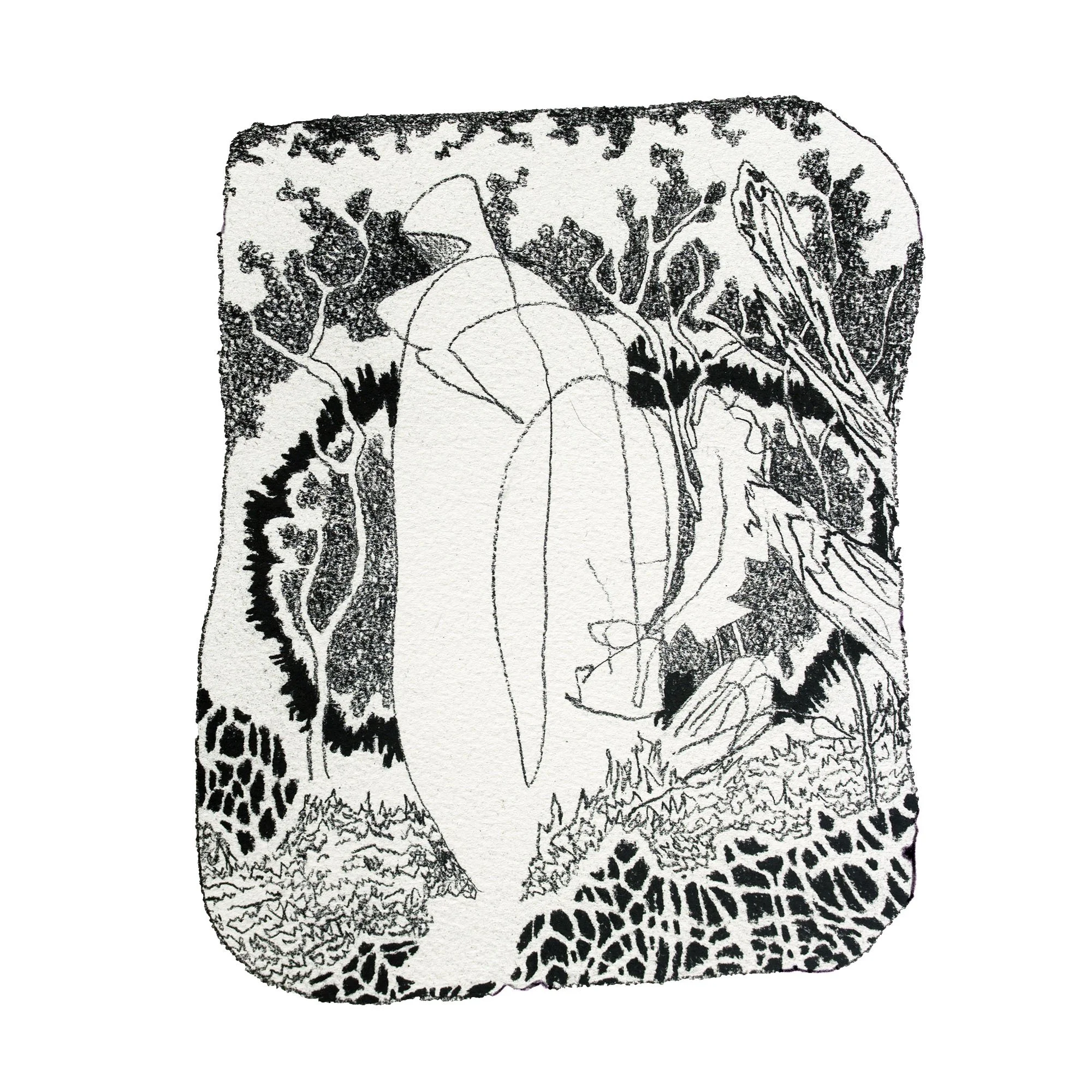 Jungle Sketch 3 copy.jpg