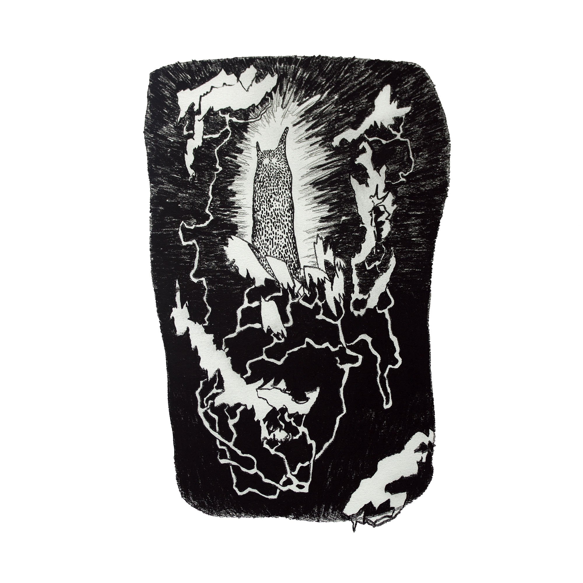 Jungle Sketch 14 copy.jpg