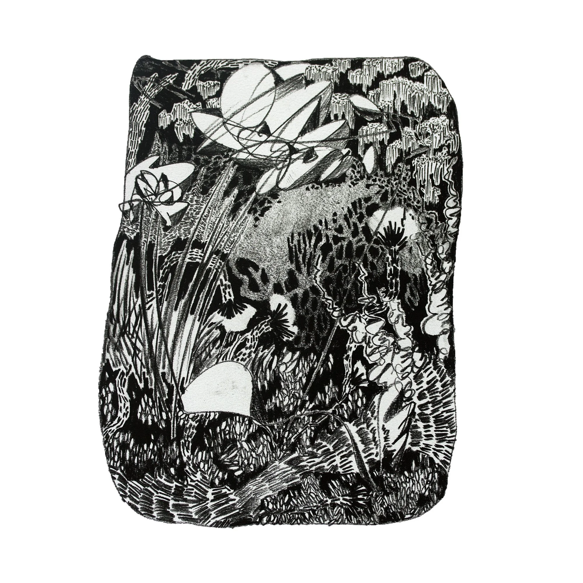 Jungle Sketch 1 copy.jpg