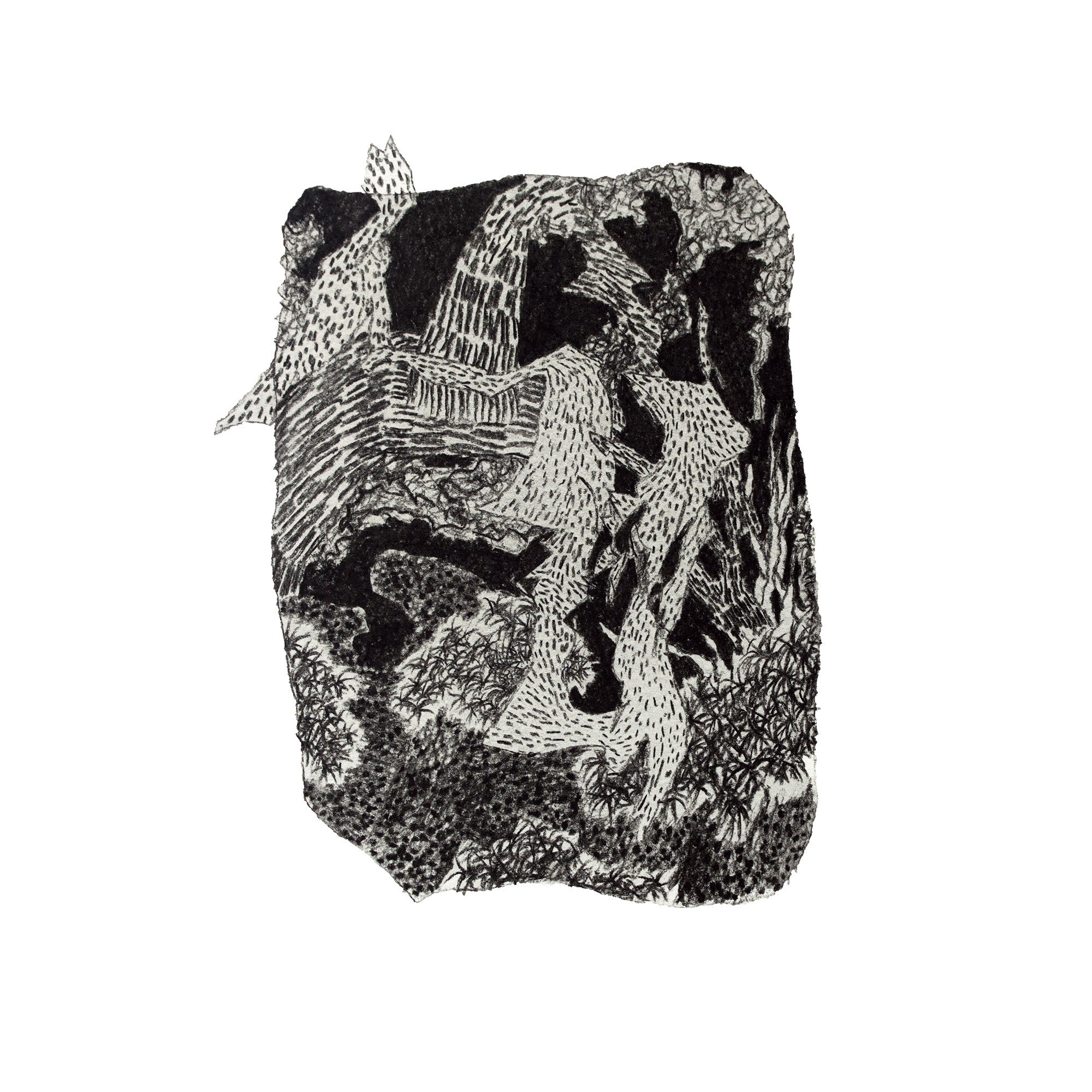 Jungle Sketch 7 copy.jpg