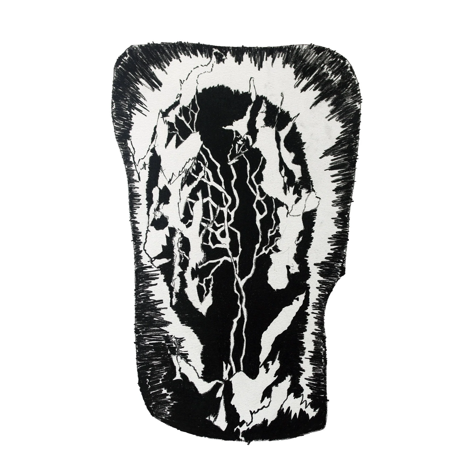 Jungle Sketch 13 copy.jpg