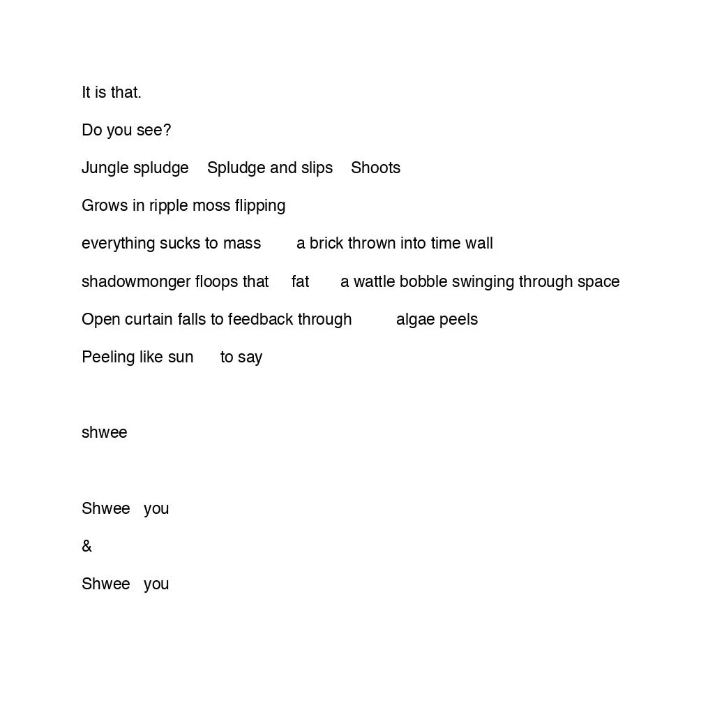 Shwee You & Shwee You_page-0001.jpg