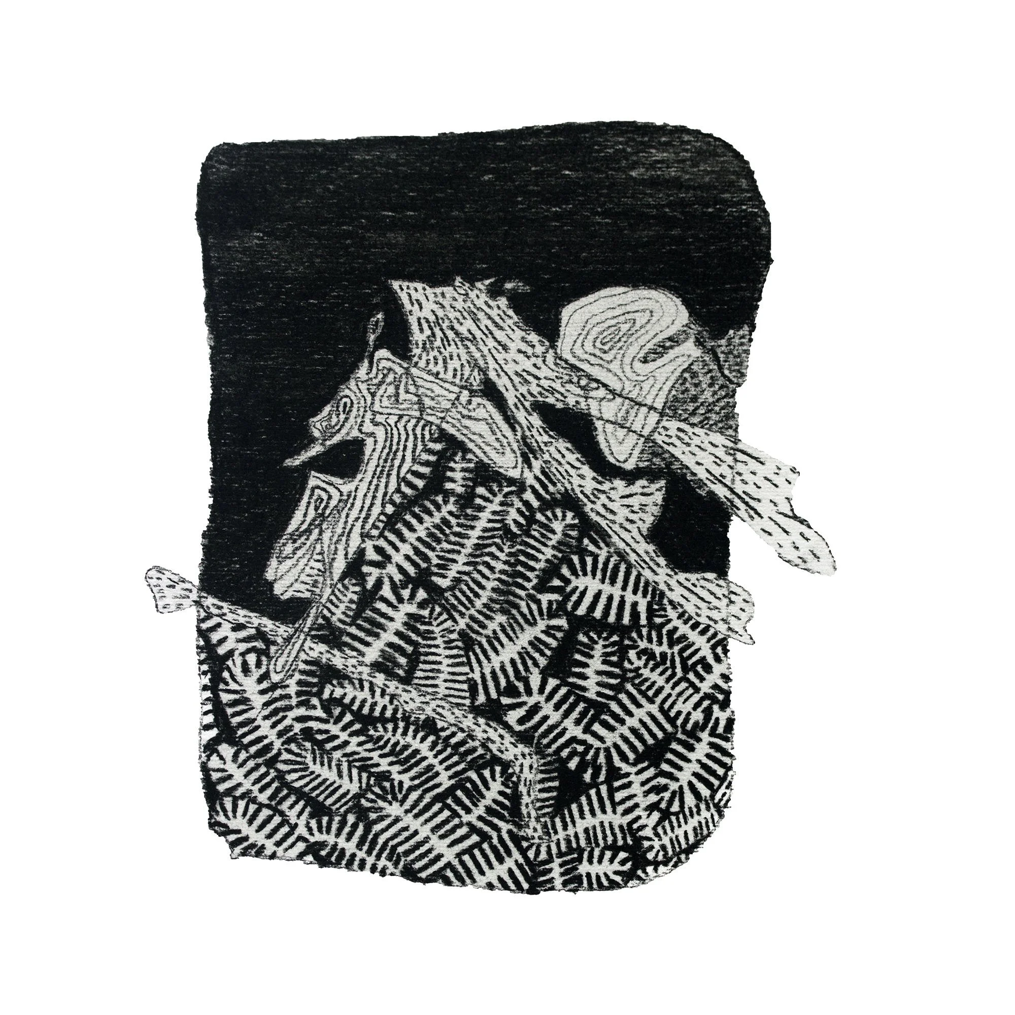 Jungle Sketch 5 copy.jpg