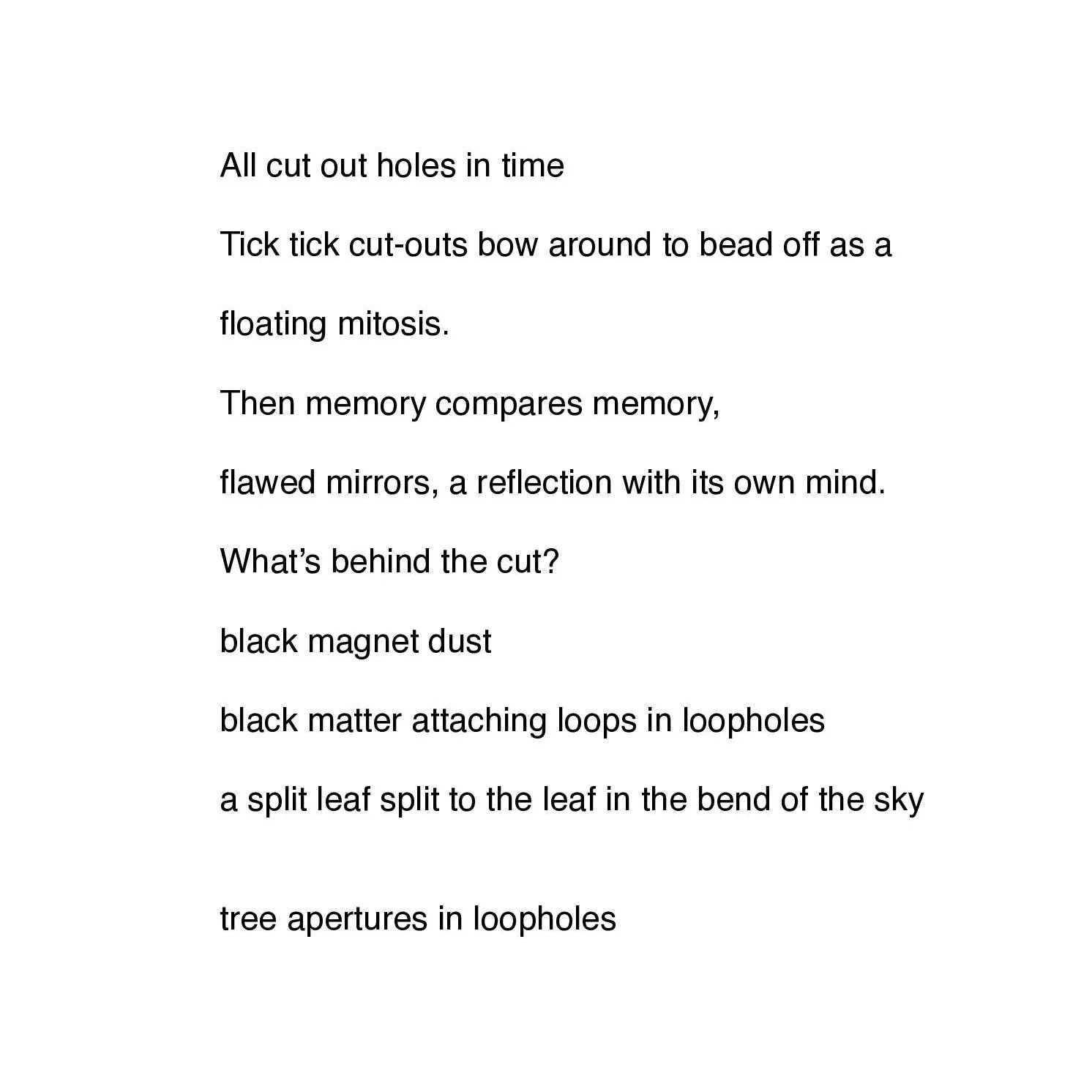 tree apertures in loopholes.jpg