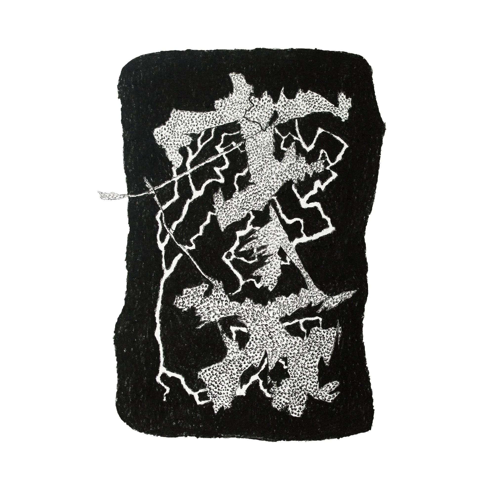 Jungle Sketch 4 copy.jpg