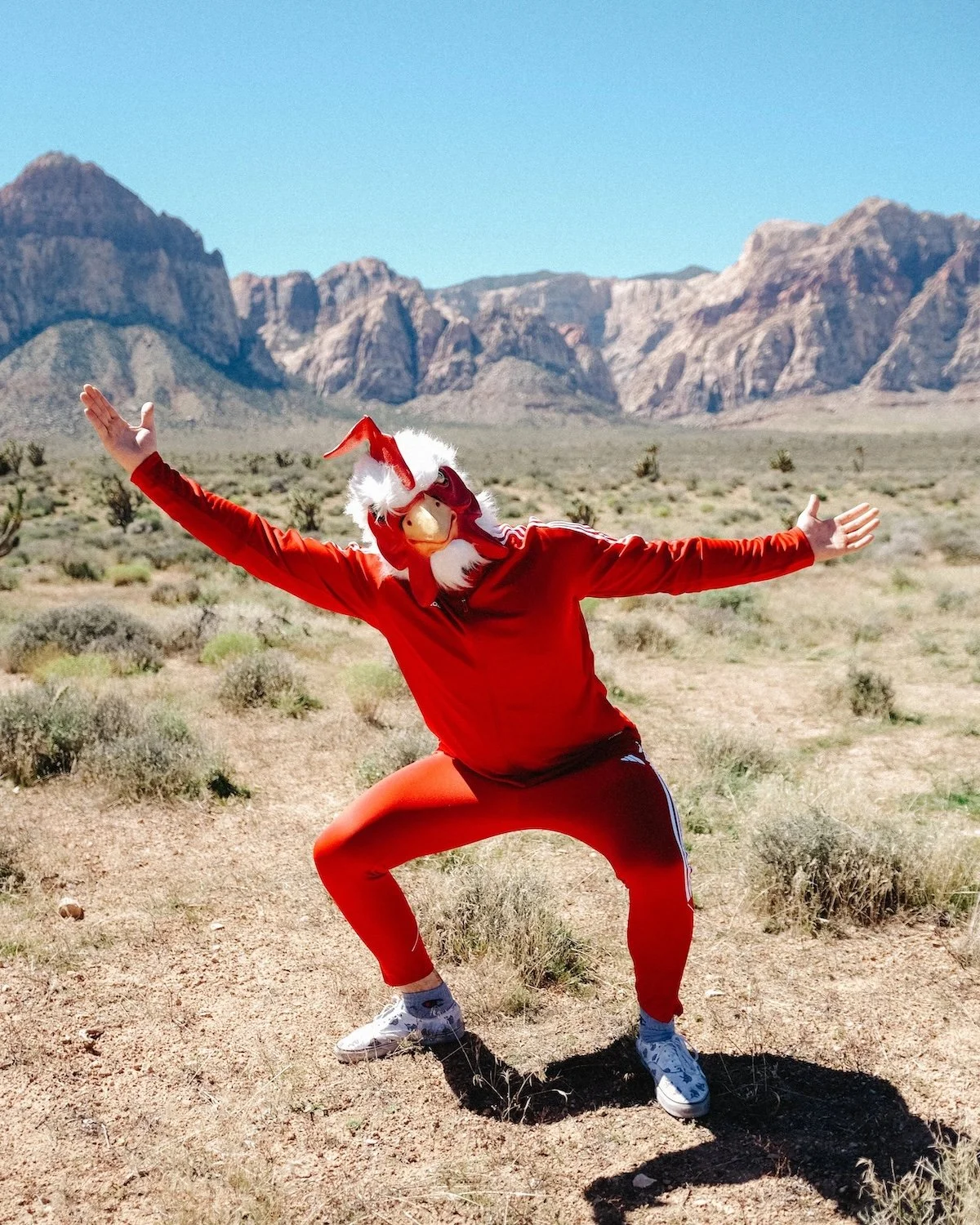 Half Bird Chicken & Beer