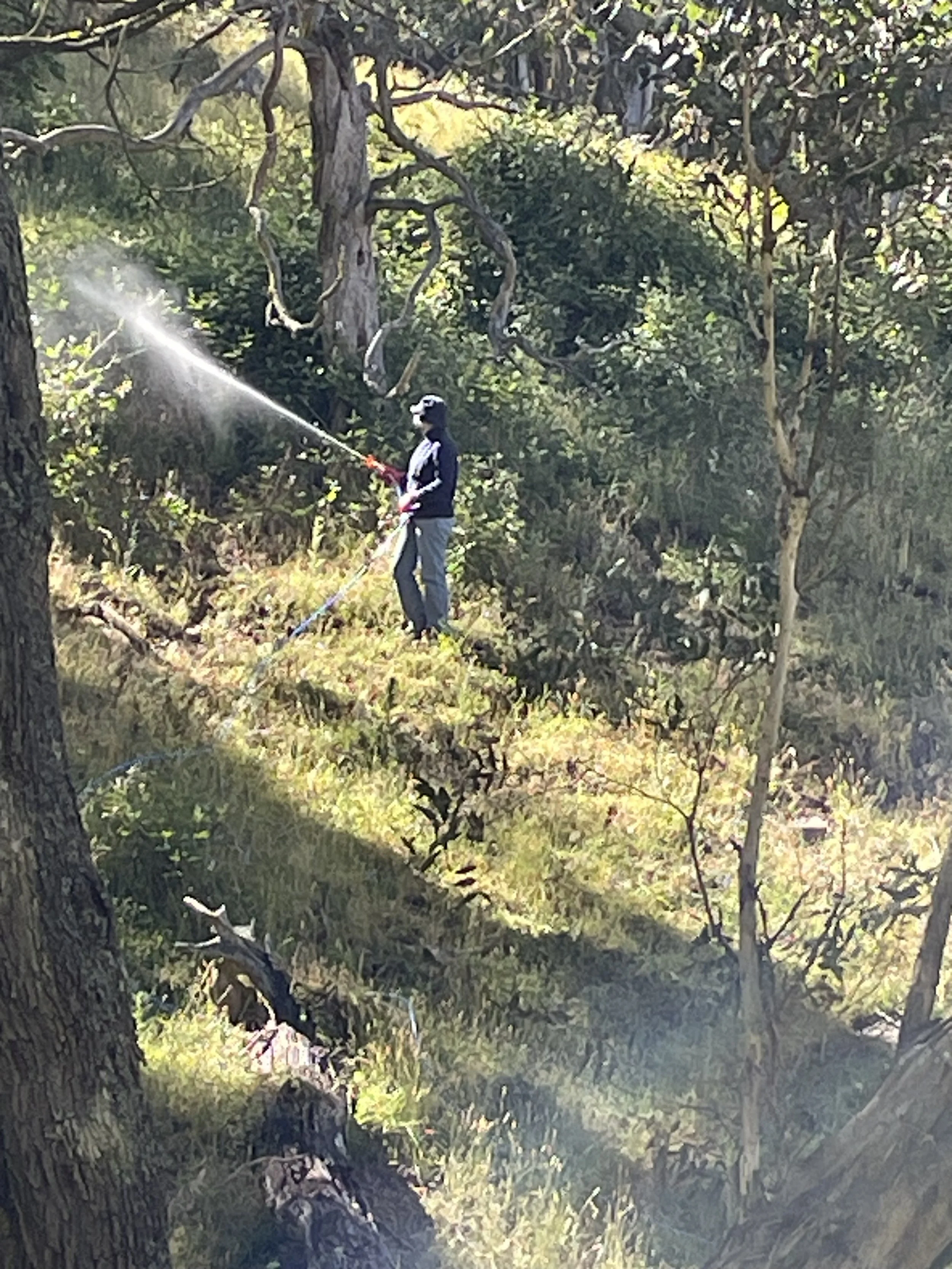 Goodlet Rural spot spraying in Bathurst Region NSW