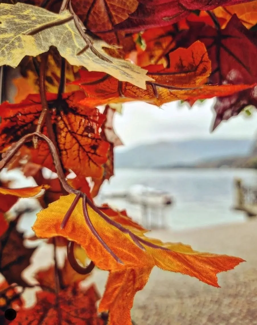 Foglie d'autunno di vari colori, arancio, rosso e giallo, con un lago sullo sfondo
