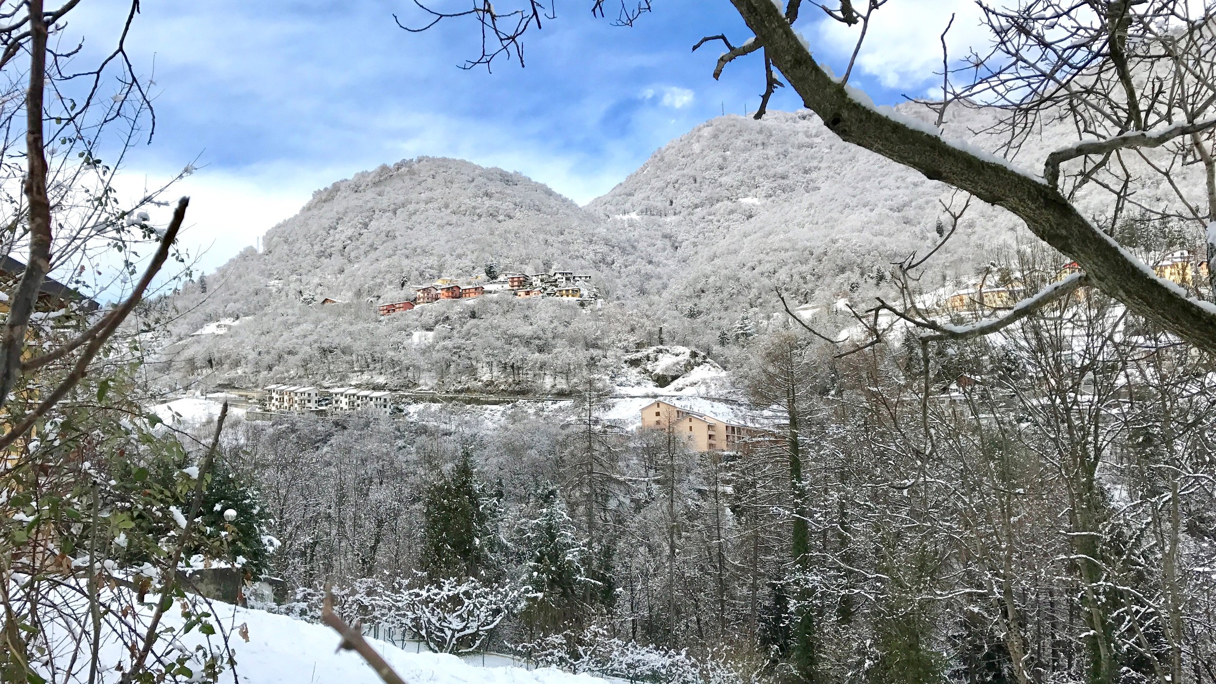 Paesaggio montano innevato con alberi spogli e case alpine sul pendio.