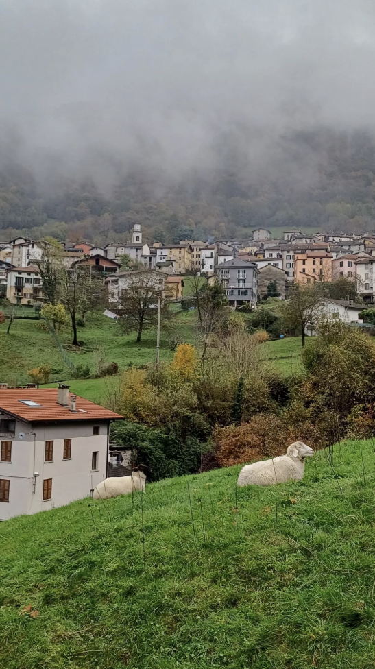 Screenshot 2026-04-25 131821.png